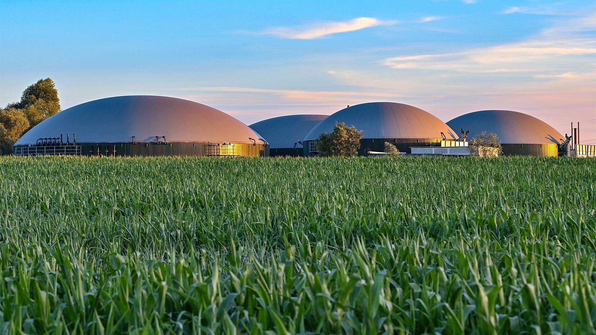 Neue Studie: Wie Biogas die Gaskrise mildern könnte