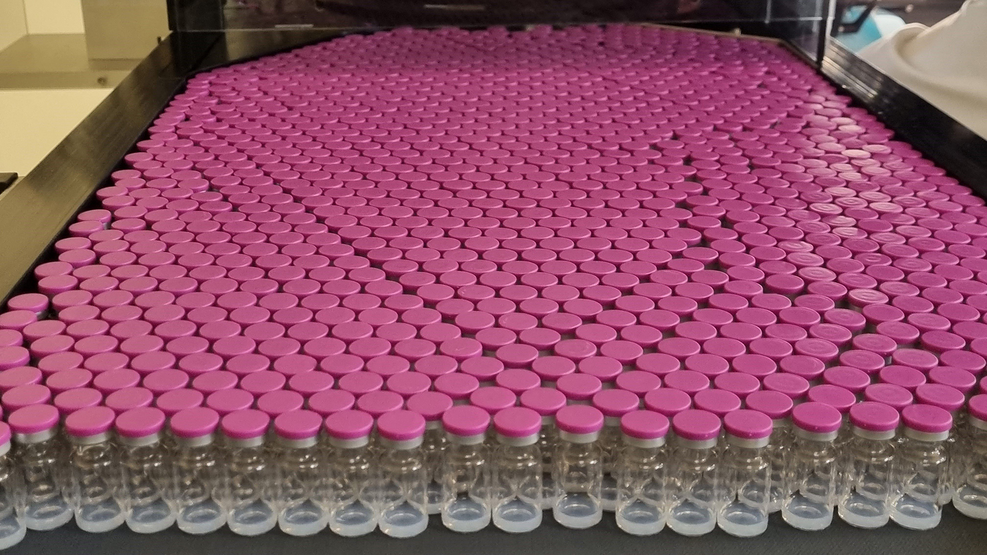 Gefäße, die mit dem Impfstoff von Biontech/Pfizer gefüllt werden | AFP