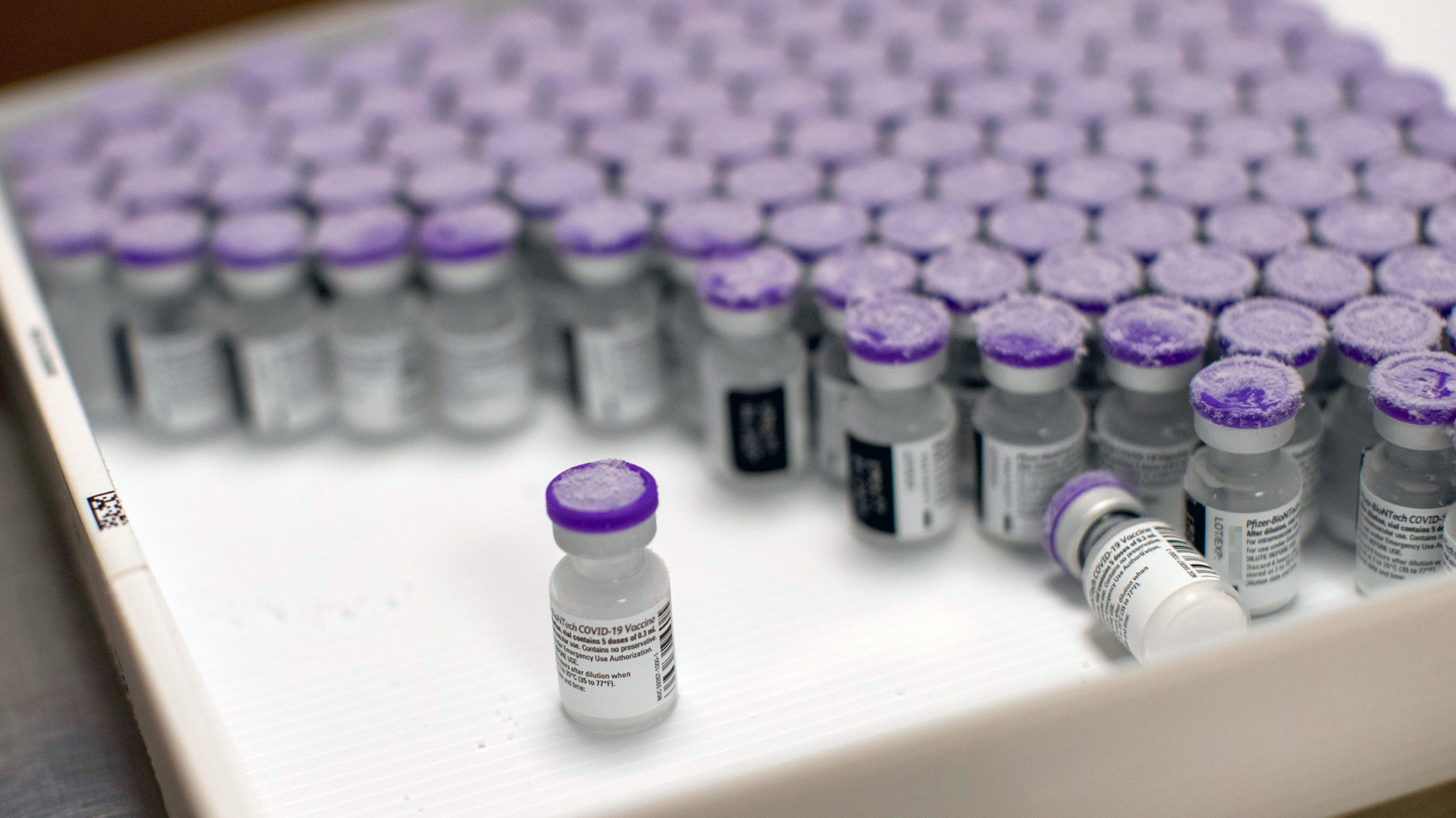Fläschchen mit Impfdosen des Impfstoffherstellers BioNTech/Pfizer