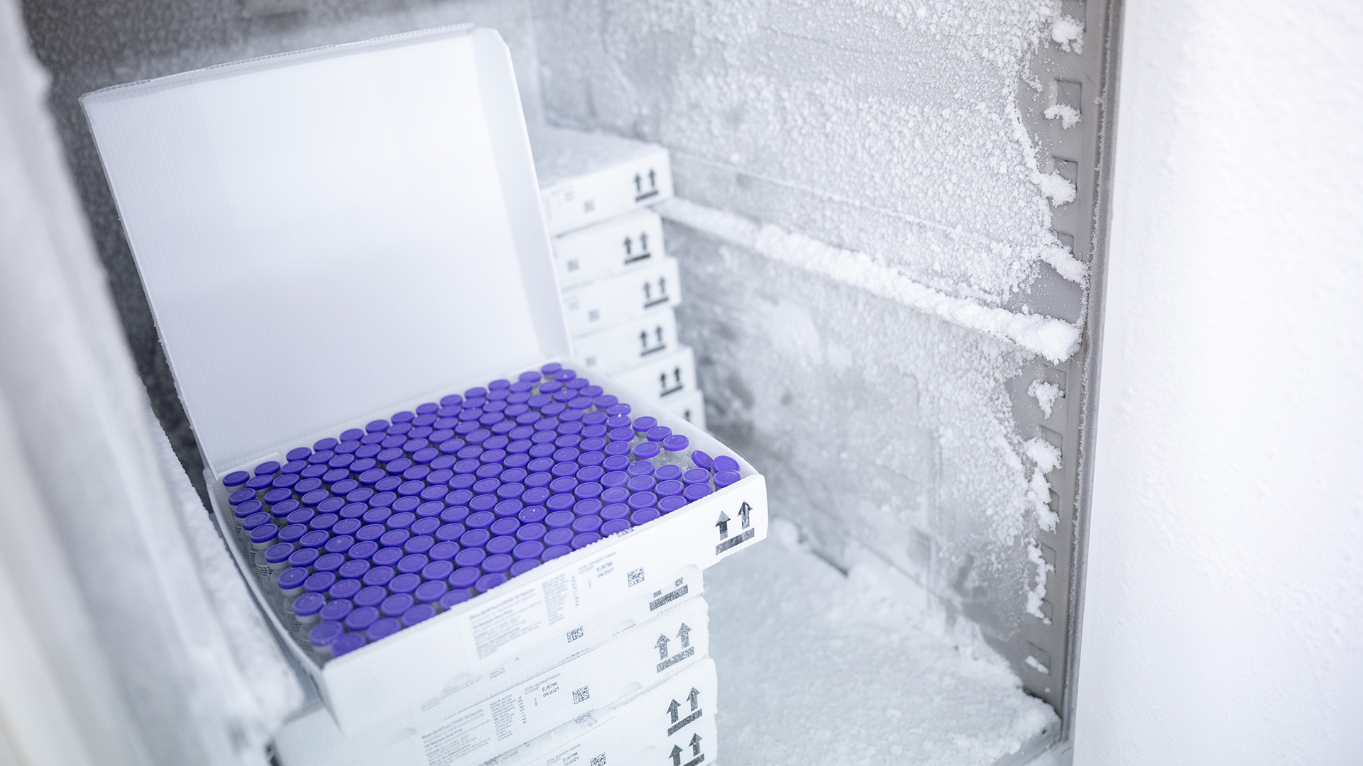 Ampullen des Corona-Impfstoffs von BioNTech/Pfizer stehen in einem speziellen Kühlschrank.  | dpa