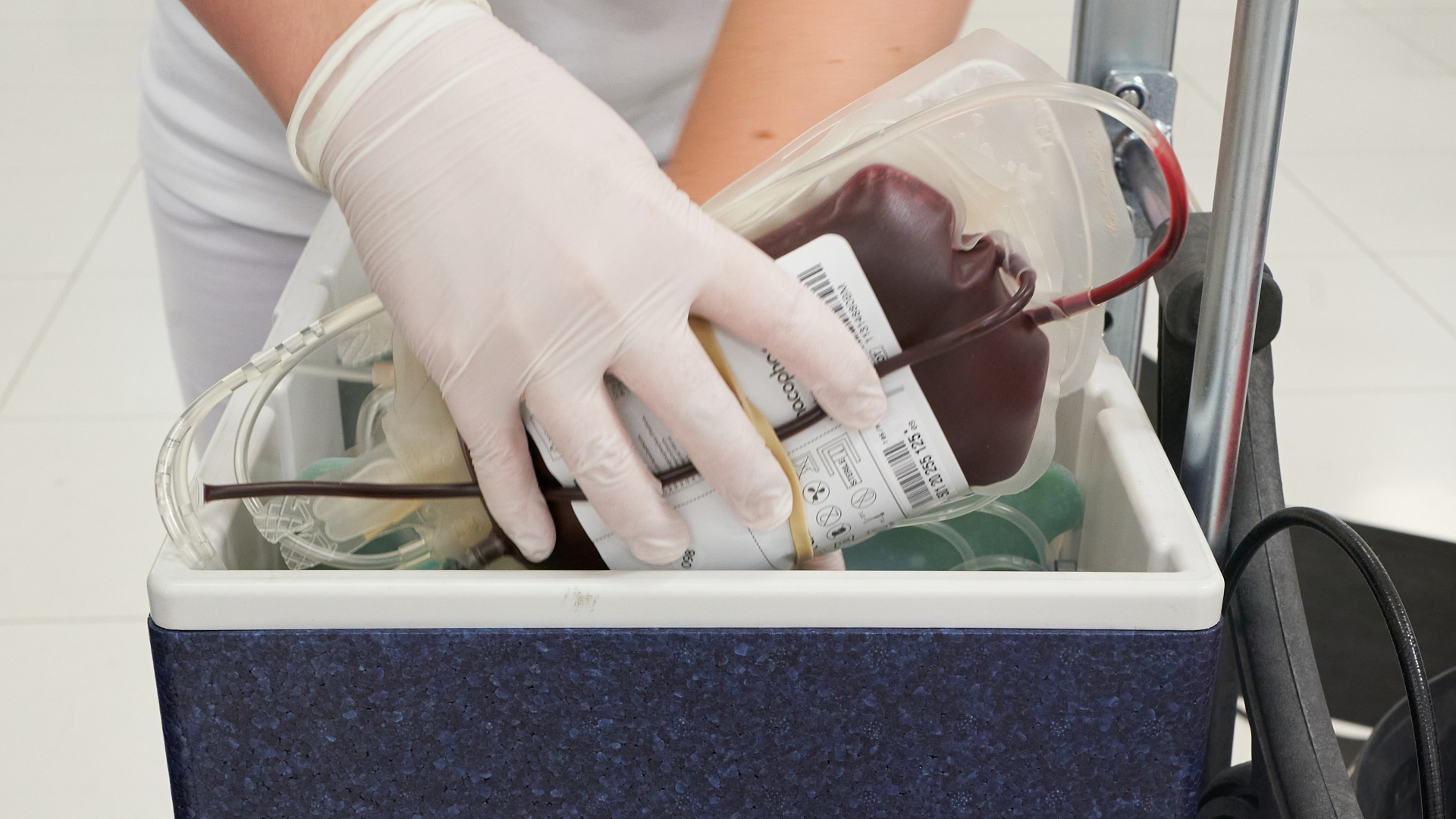 Ein Mitarbeiter des DRK-Blutspendedienstes verstaut eine Blutkonserve in einem Kühlbehälter.  | dpa