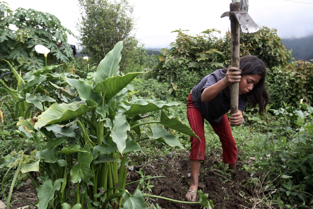 Ein Mädchen in Bolivien arbeitet in der Landwirtschaft. | dpa