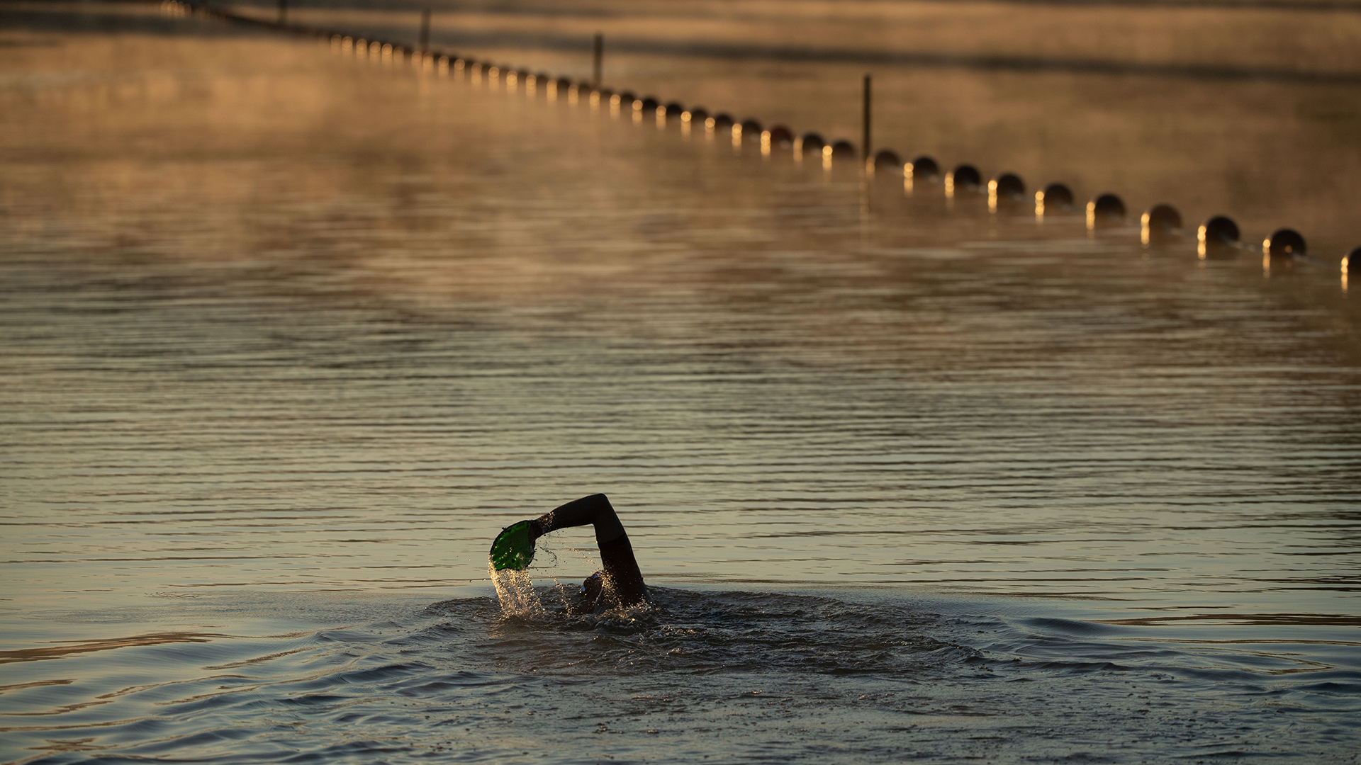 Schwimmer bei Sonnenaufgang | dpa