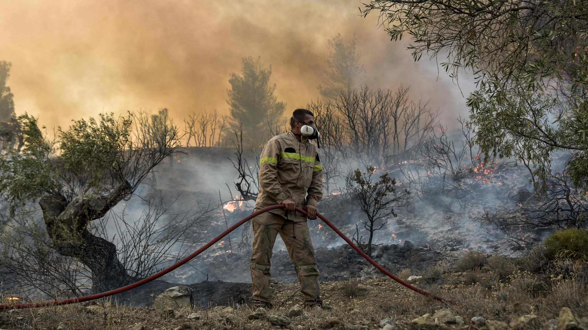 Die Feuerwehr kämpft in Griechenland gegen Waldbrände.