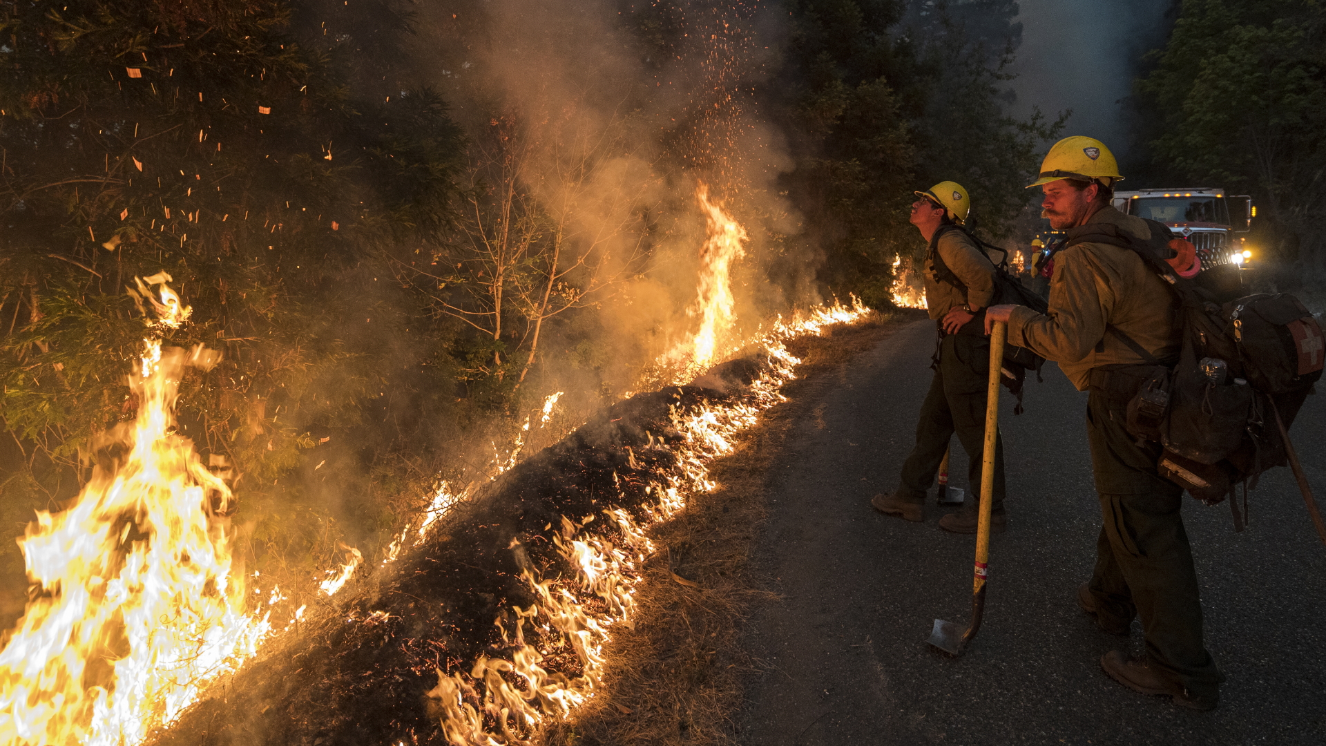 Feuerwehrleute stehen an einer brennenden Waldfläche. | dpa