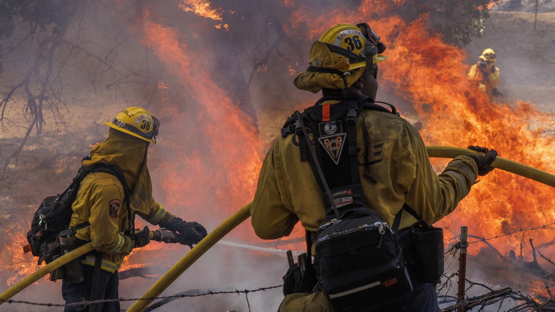 In Midpines im US-Bundesstaat Kalifornien kämpfen die Feuerwehrleute gegen die Flammen des Oak Fire. | EPA