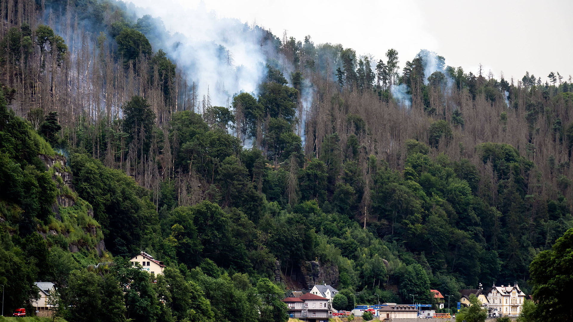  Blick auf die Rauchsäulen im Nationalpark Sächsische Schweiz in Schmilka. | IMAGO/Steffen Unger