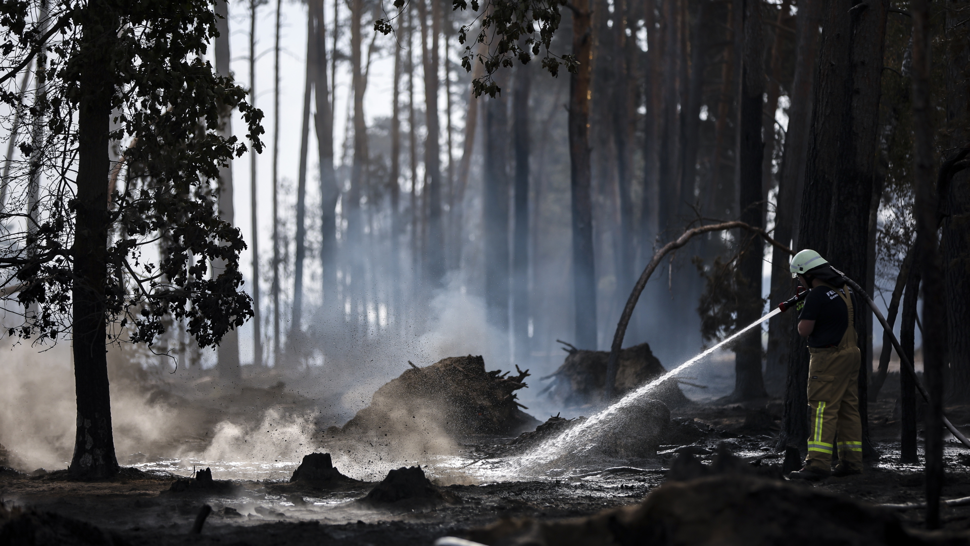 Ein Feuerwehrmann löscht Glutnester in einem Waldgebiet in Brandenburg. | dpa