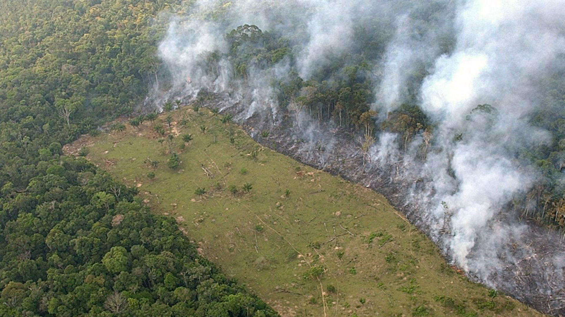 Ein Streifen des Regenwalds des Amazonas nahe der brasilianischen Stadt Manaos wird durch Brände gerodet. | picture alliance / dpa