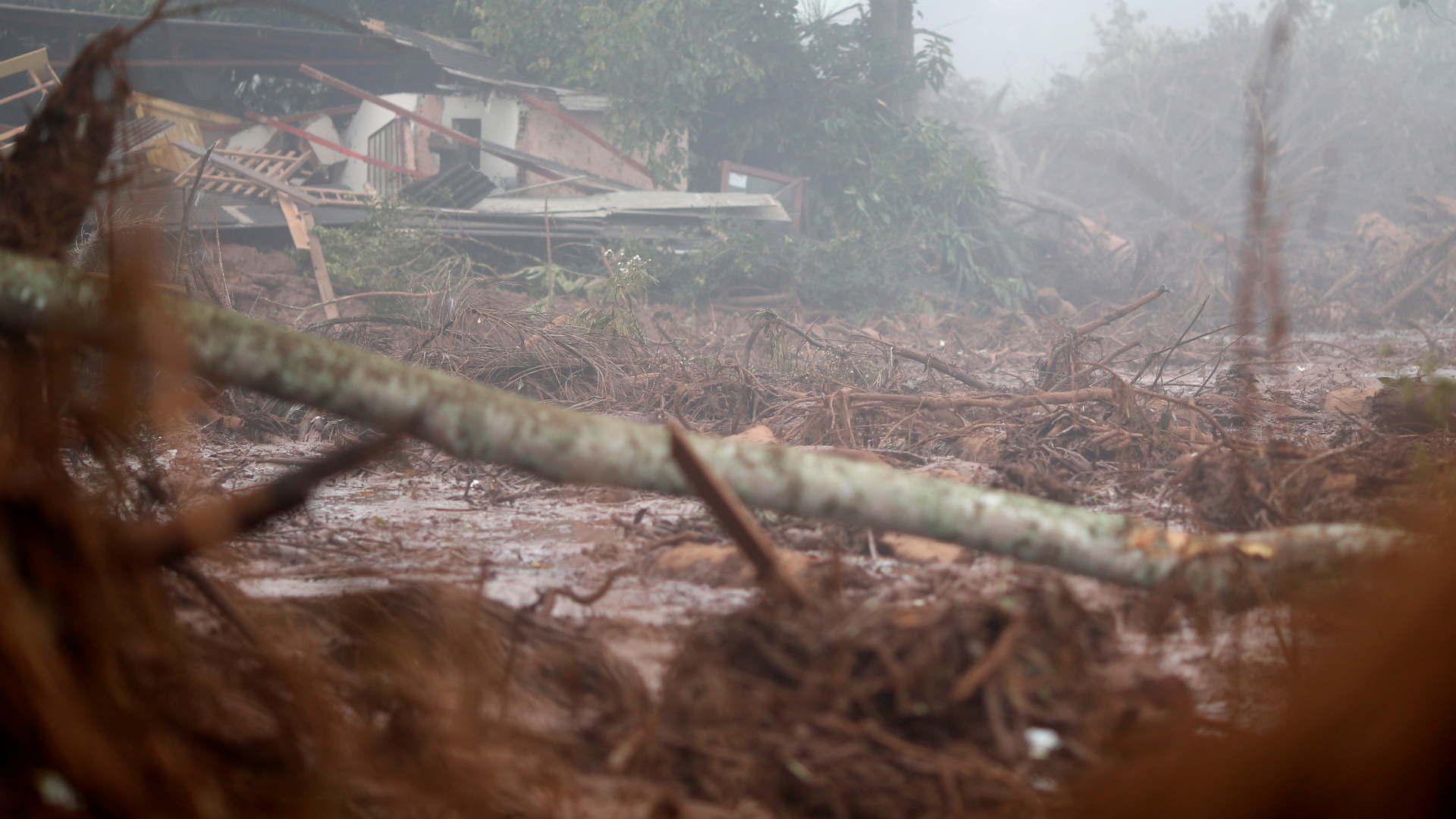 Von der Schlammlawine zerstörtes Haus | Bildquelle: REUTERS