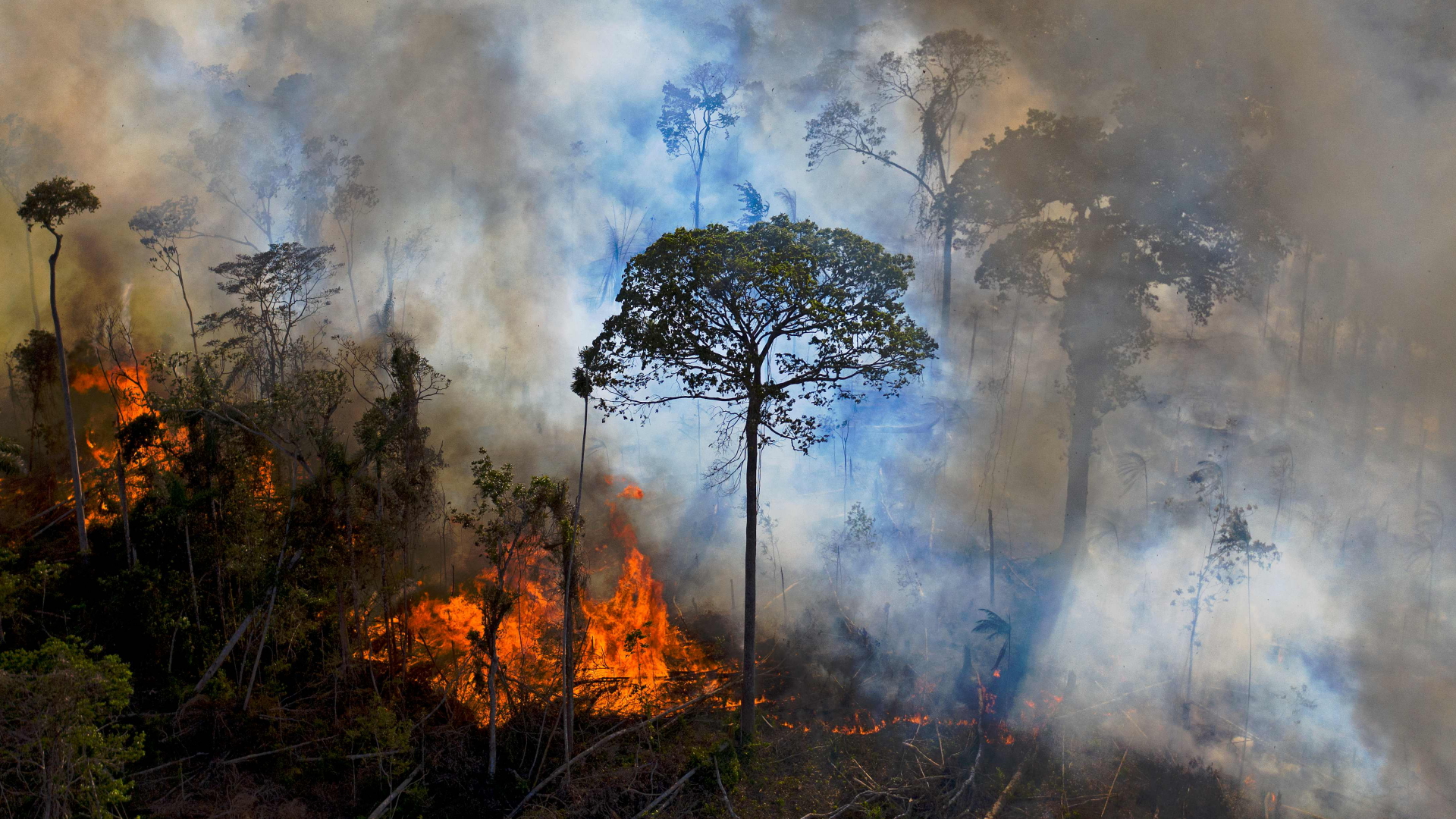 Ein brennendes Waldgebiet in Brasilien, verursacht durch ein illegal gelegtes Feuer. | AFP