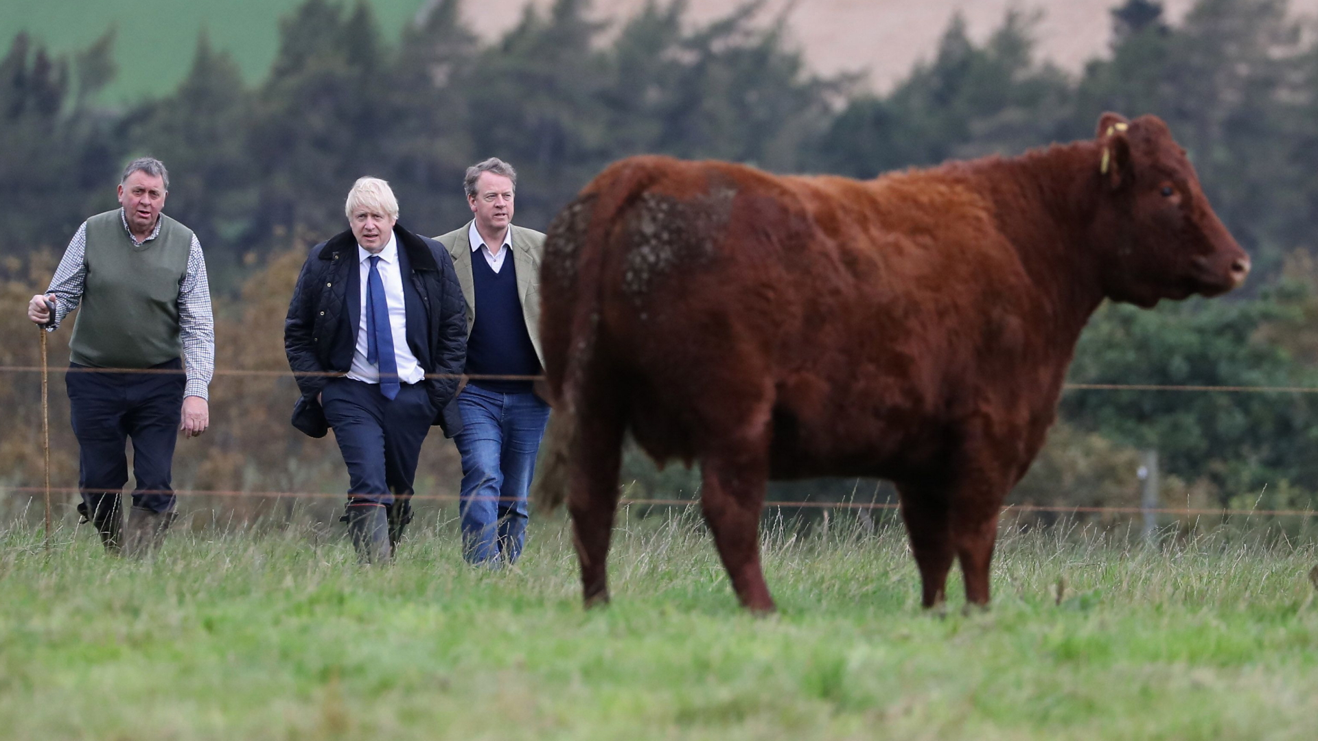 Premierminister Johnson hat sich über die Situation der Landwirte in Schottland informiert.  | AFP