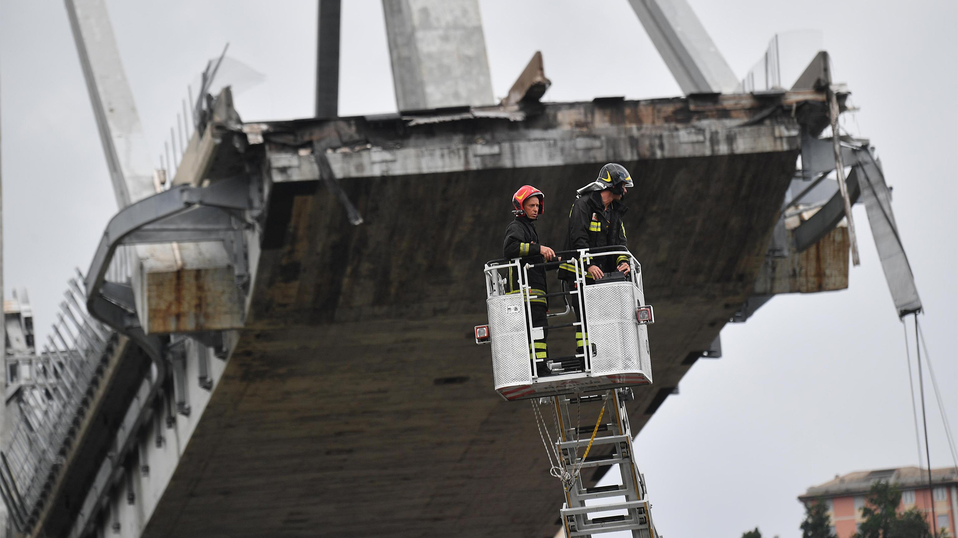 Rettungskräfte stehen auf einer Feuerwehrleiter vor der eingestürzten Brücke in Genua | LUCA ZENNARO/EPA-EFE/REX/Shutter