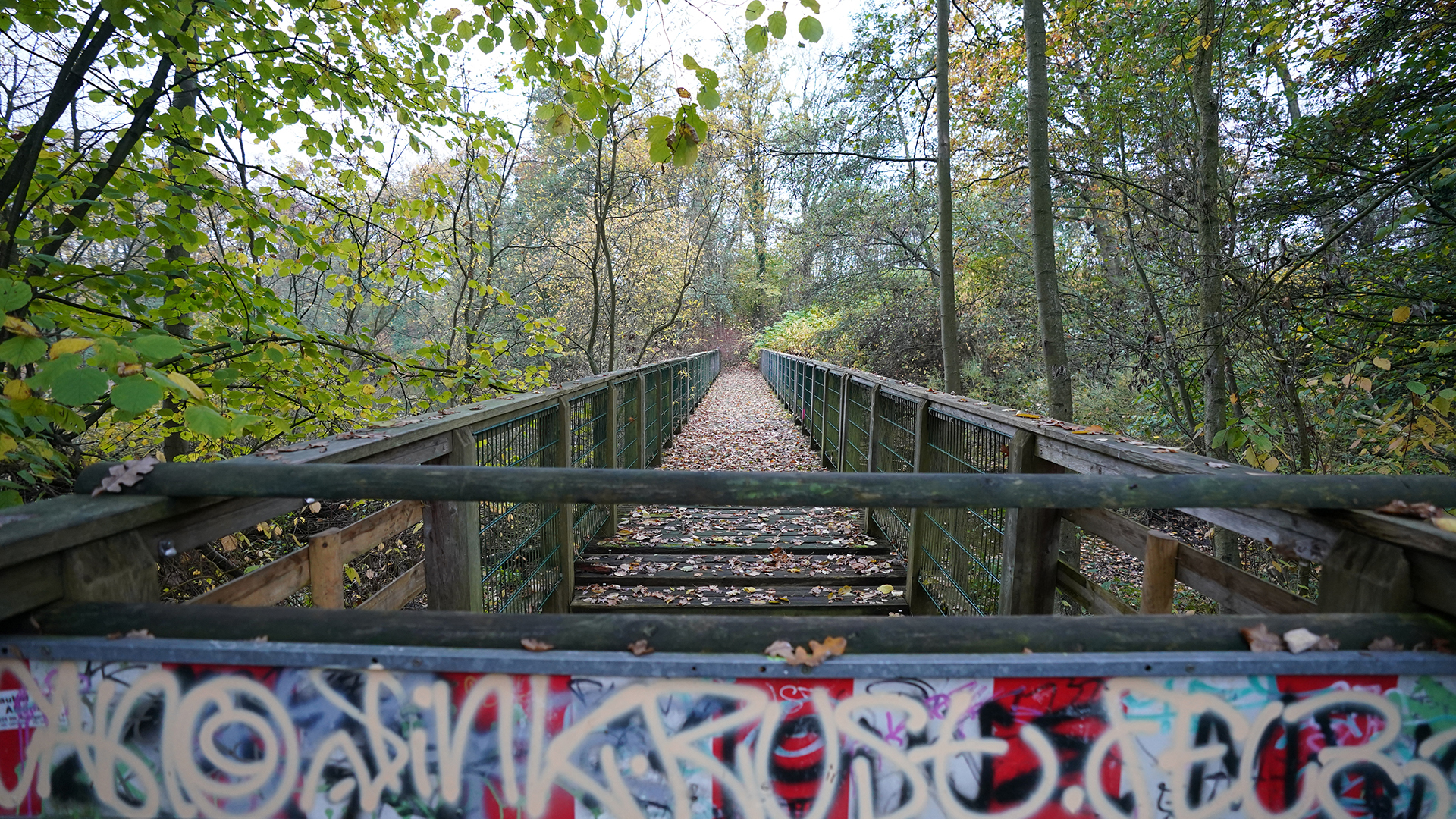 Eine abgesperrte Brücke am Ziegeleiteich in Osdorf. | picture alliance/dpa