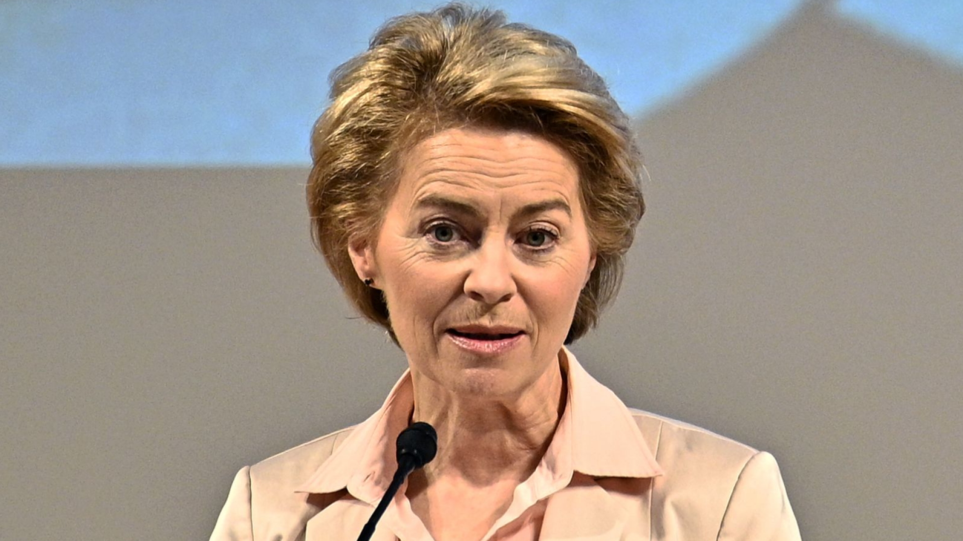 Bundesverteidigungsministerin Ursula von der Leyen spricht im Januar 2019 in Wien | AFP