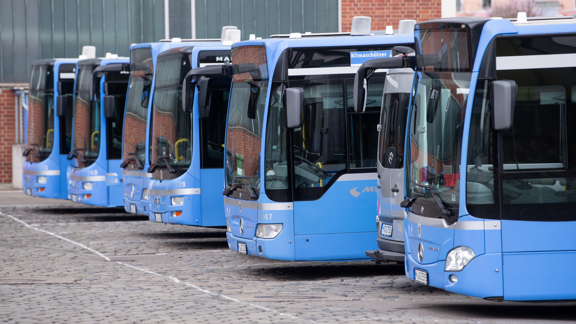 Busse der Münchner Verkehrsgesellschaft stehen auf einem Busbetriebshof. (Aufnahme vom 31. März 2022) | dpa