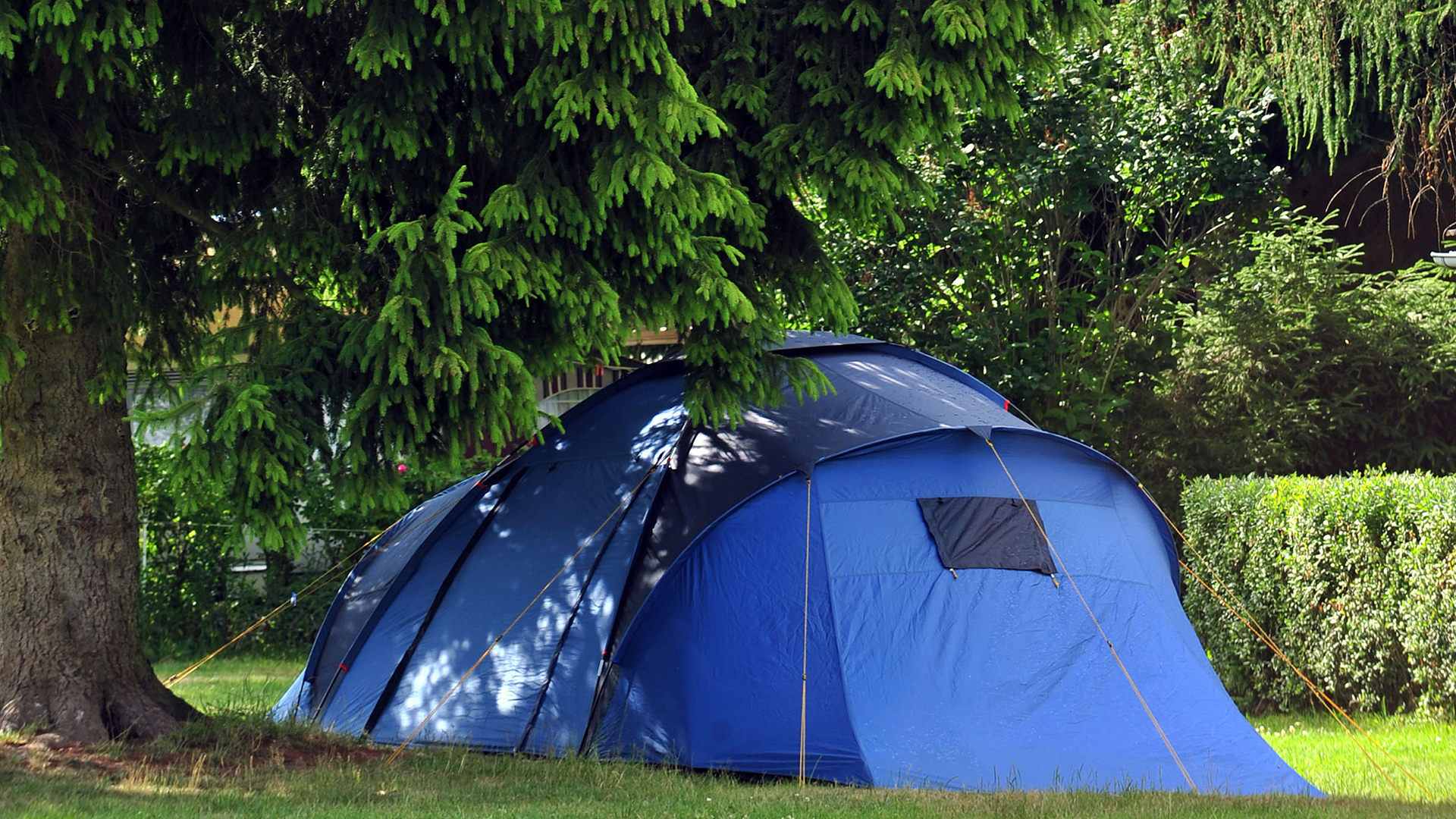 Ein Zelt steht unter Bäumen auf einem Campingplatz. | picture alliance / dpa