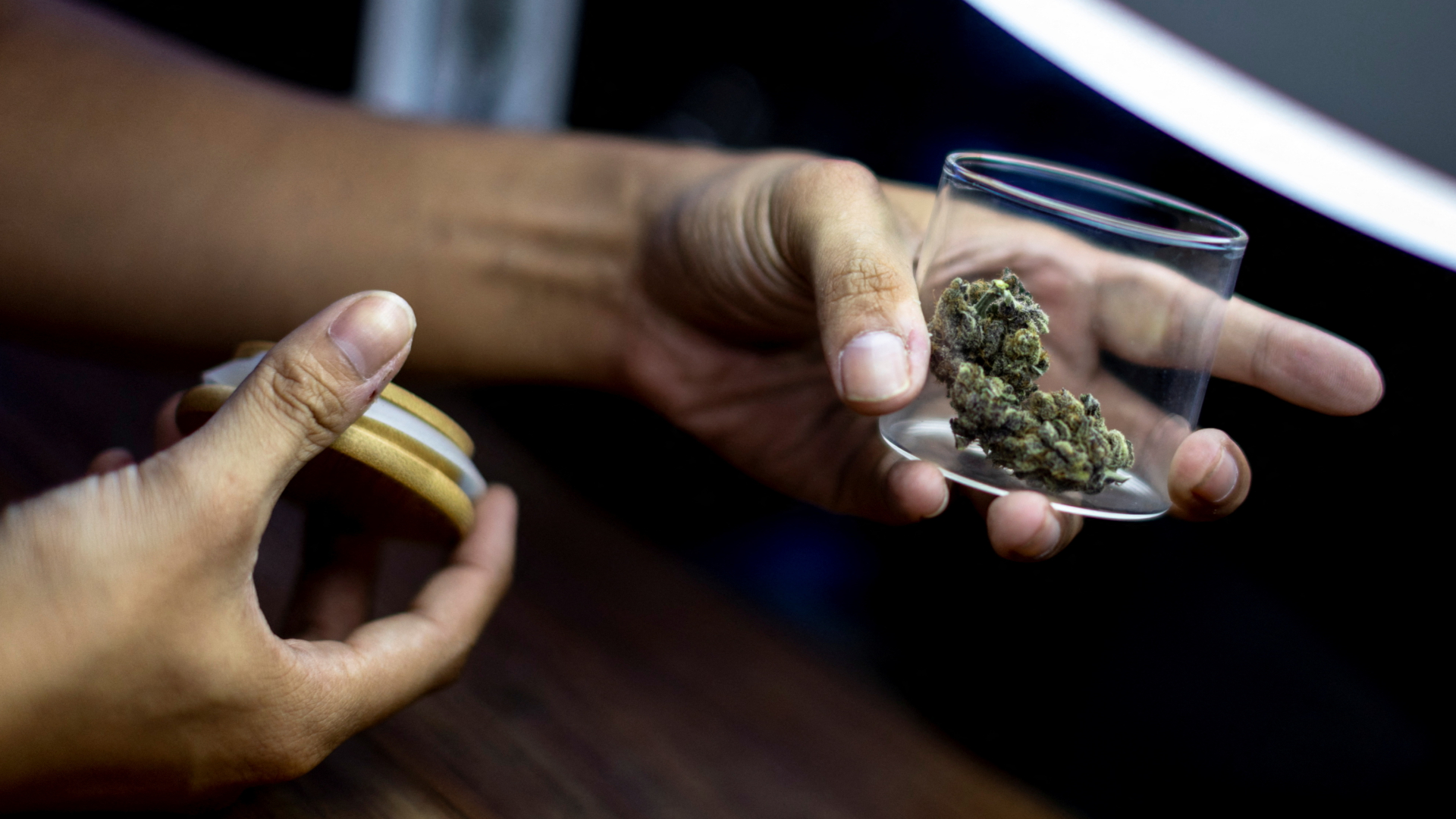 Cannabis in einem Plastikgefäß | REUTERS