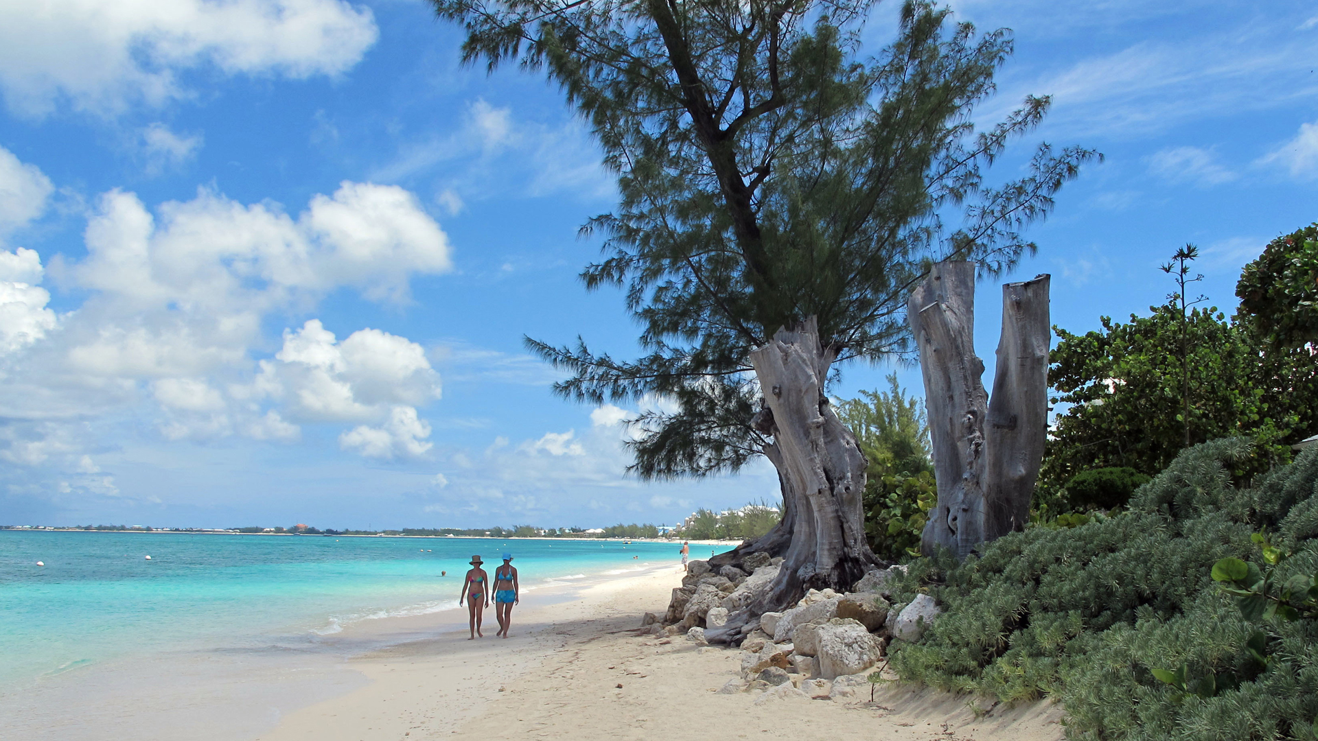 Strand auf der Großen Cayman-Insel | picture alliance / AP Photo