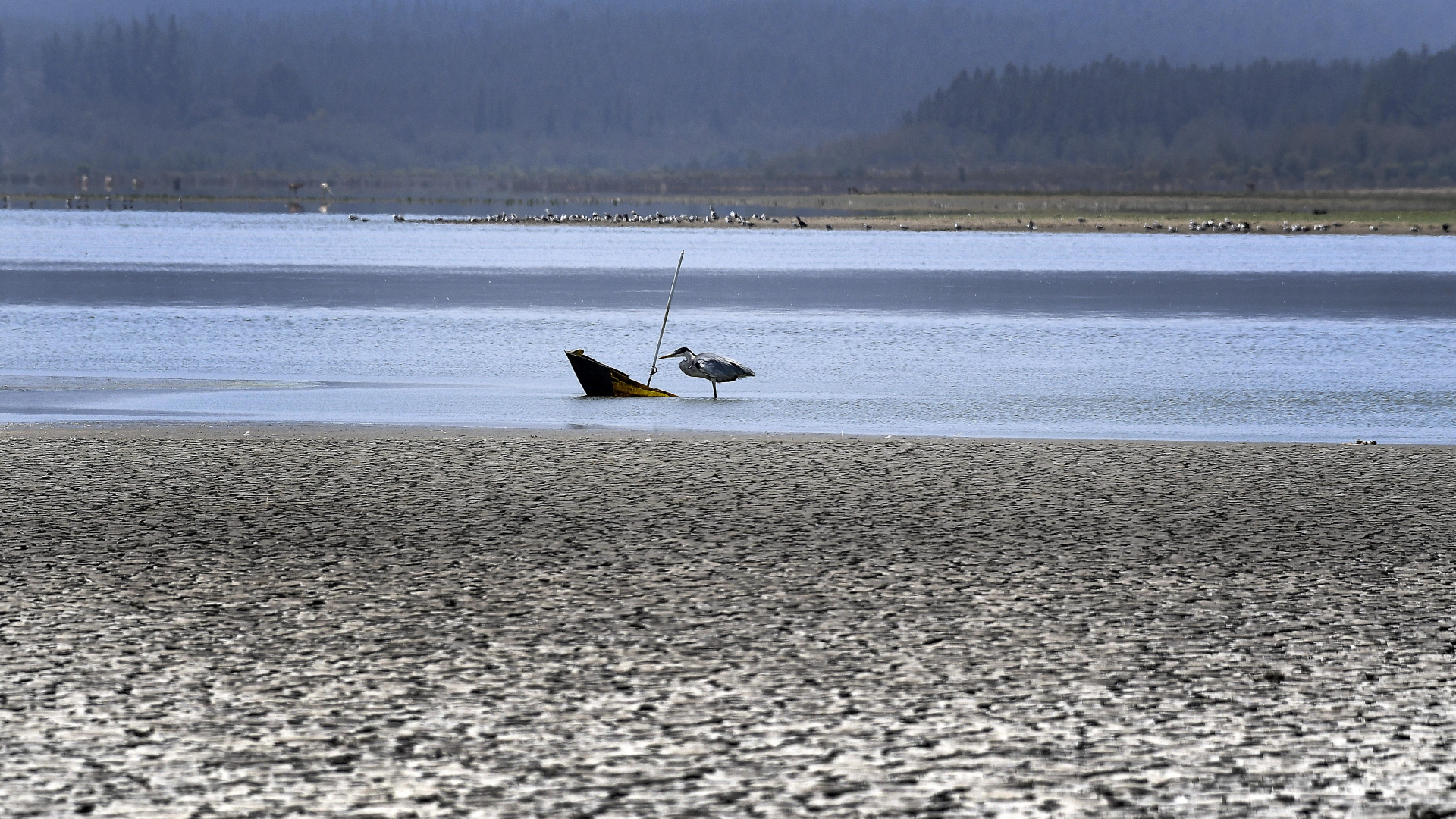 Ein Vogel steht neben einem Sonnenschirm im Peñuelas See, dessen Wasserspiegel stark gesunken ist. | dpa