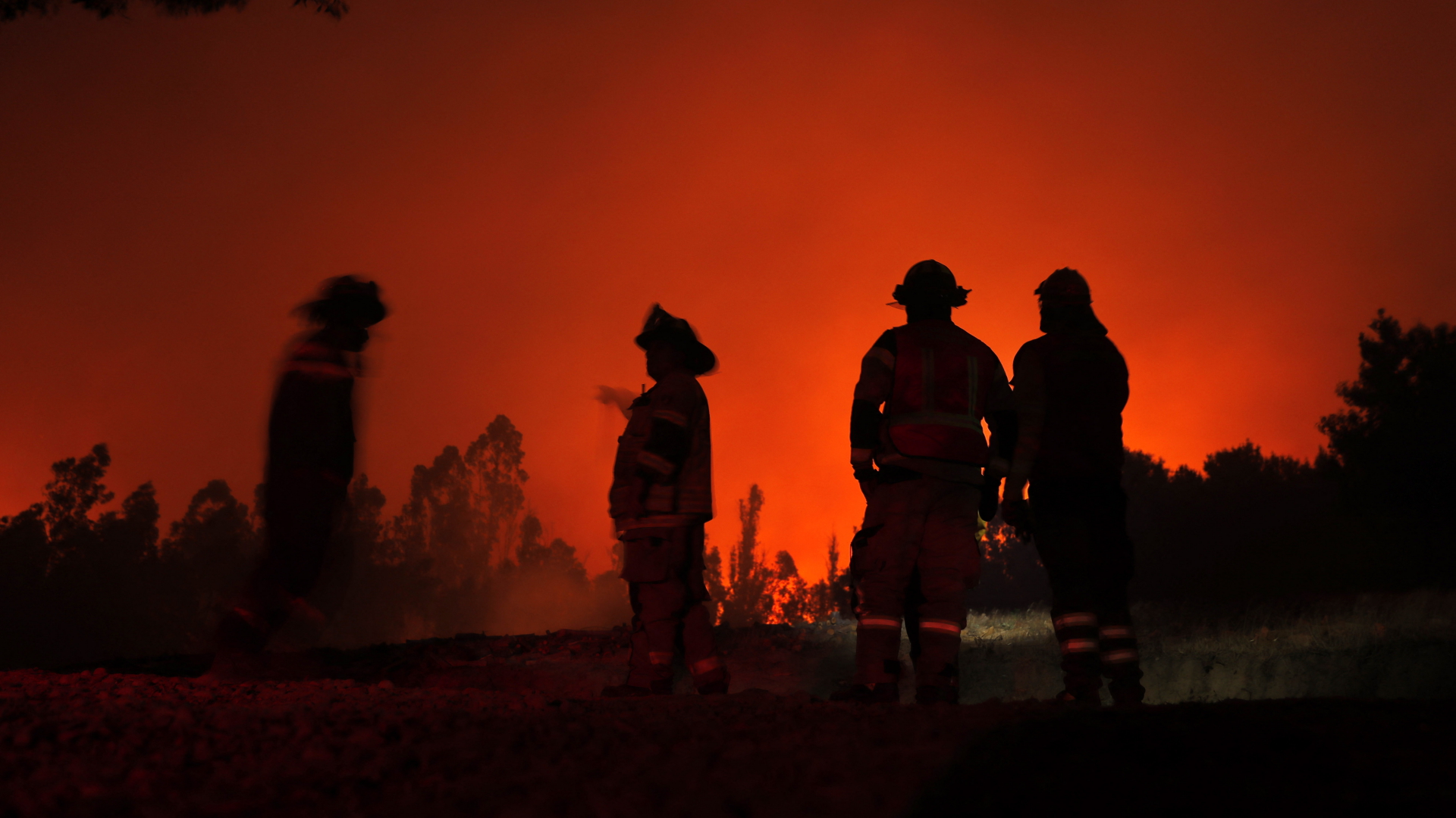 Tote und Verletzte: Waldbrände in Chile weiter außer Kontrolle