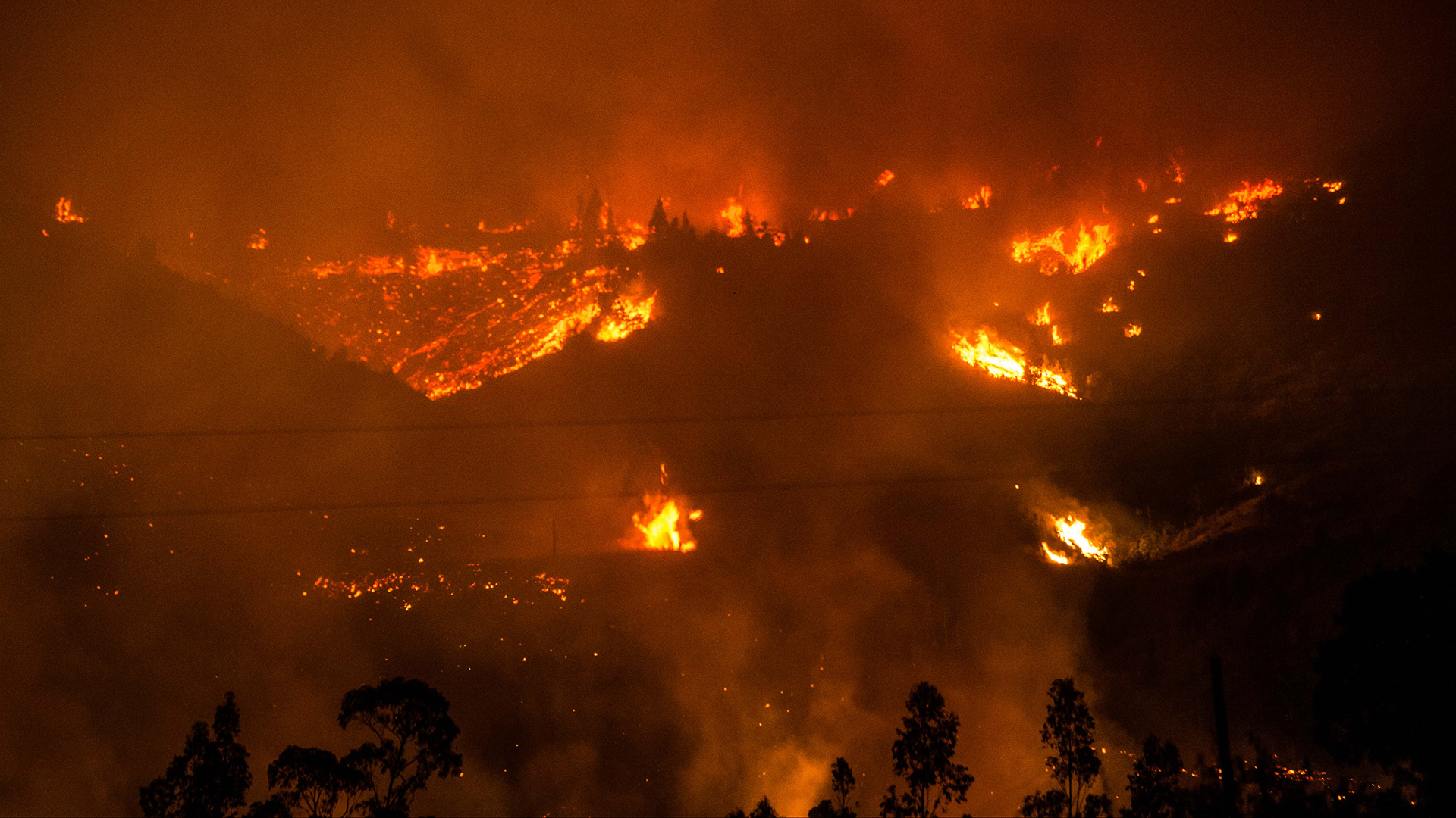 Waldbrände in Chile | AFP