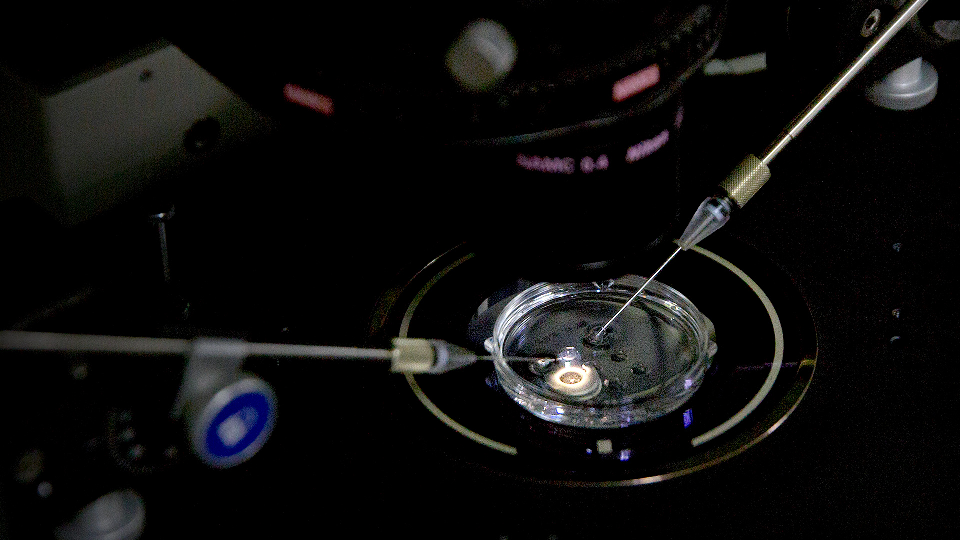 Injektionsmikroskop in einem Labor | Bildquelle: dpa