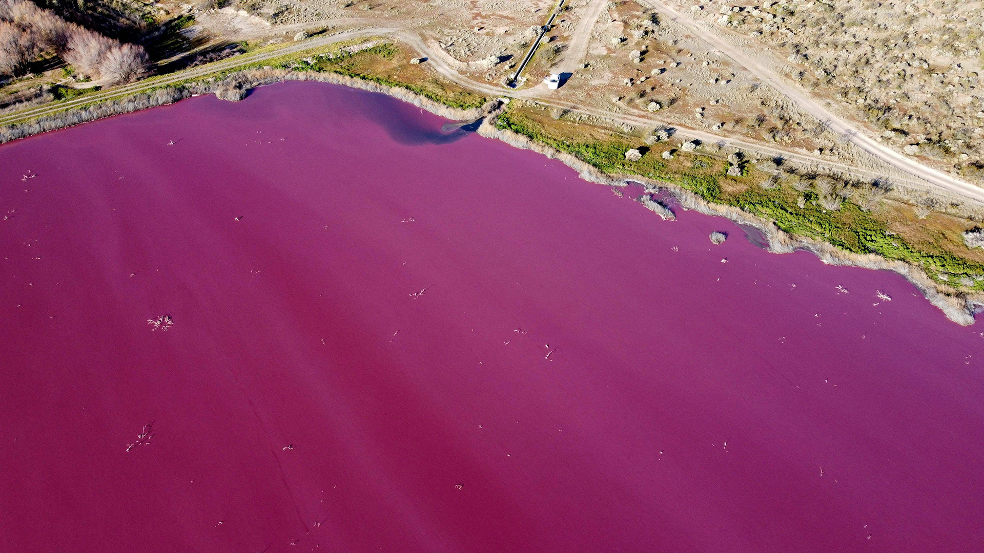 Unnatürlich pink gefärbtes Wasser in der Corfo-Lagune | AFP