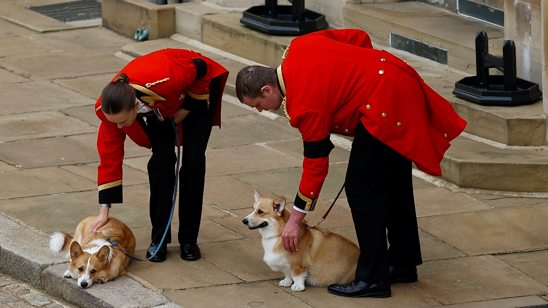 Die Corgis der Queen warten im Innenhof von Schloss Windsor. | REUTERS