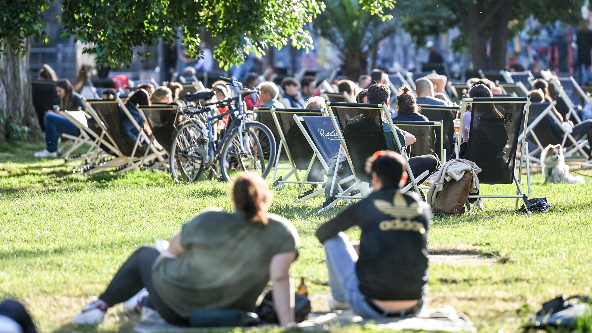 In Berlin sitzen viele Menschen in einem Park