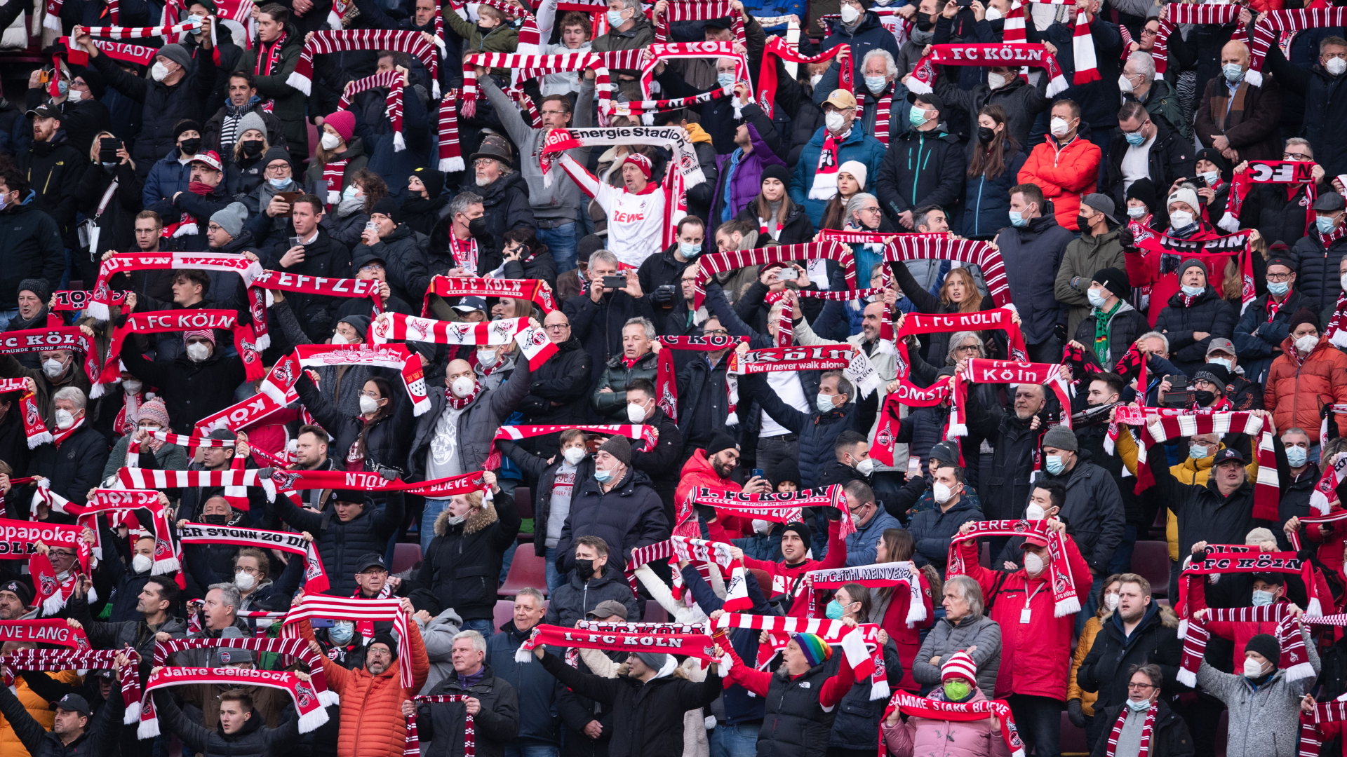 Fans des 1. FC Köln halten im heimischen Stadion Fanschals in die Luft | dpa