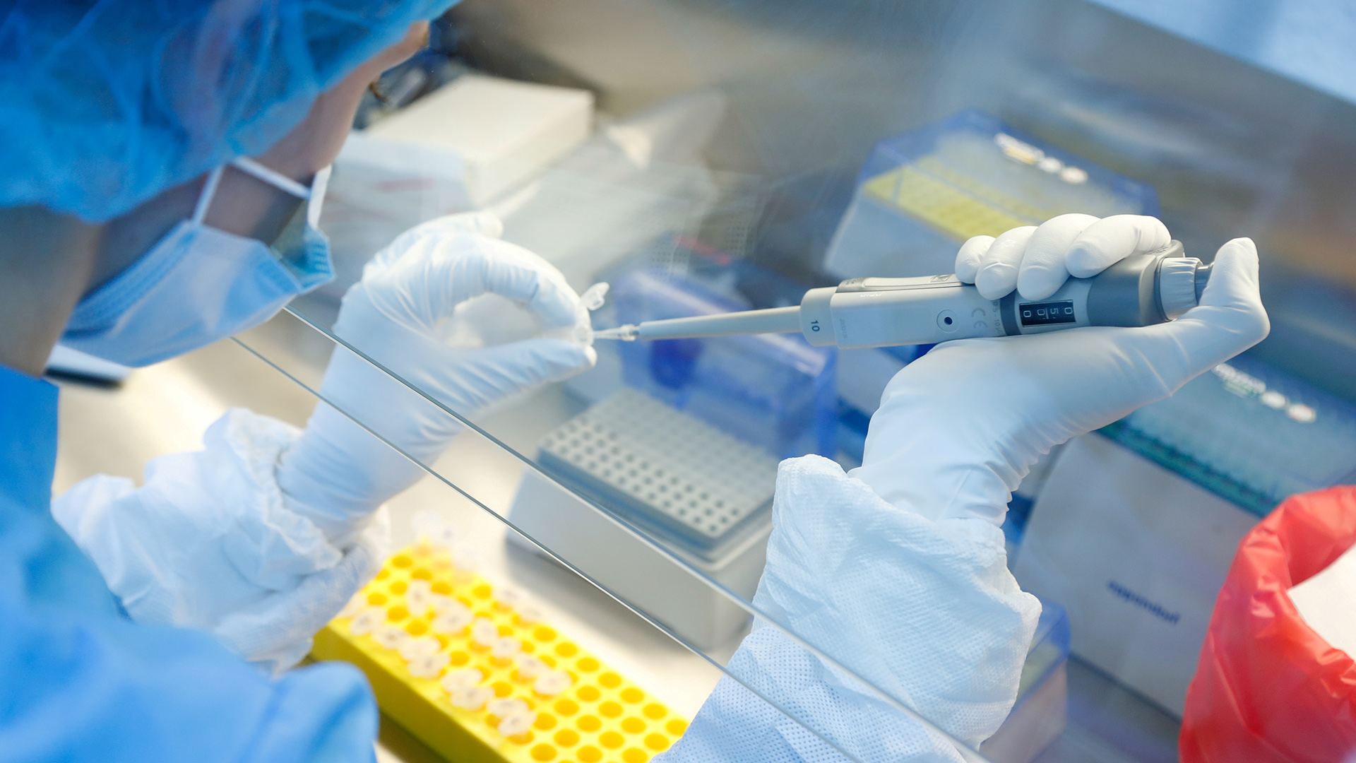 Ein Wissenschaftler bereitet Proben eines Impfstoffs gegen Covid-19 in einem Labor in Sankt Petersburg, Russland, am 11. Juni 2020 vor | REUTERS