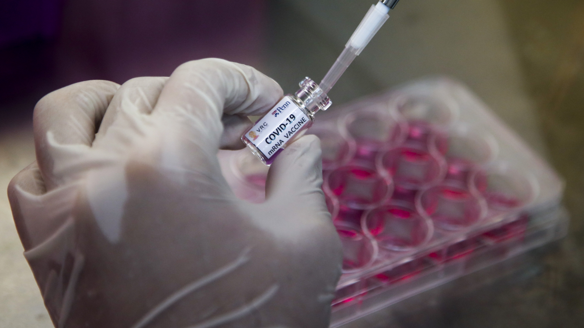 Thailändische Forscher arbeiten an einem Corona-Impfstoff | DIEGO AZUBEL/EPA-EFE/Shutterstoc