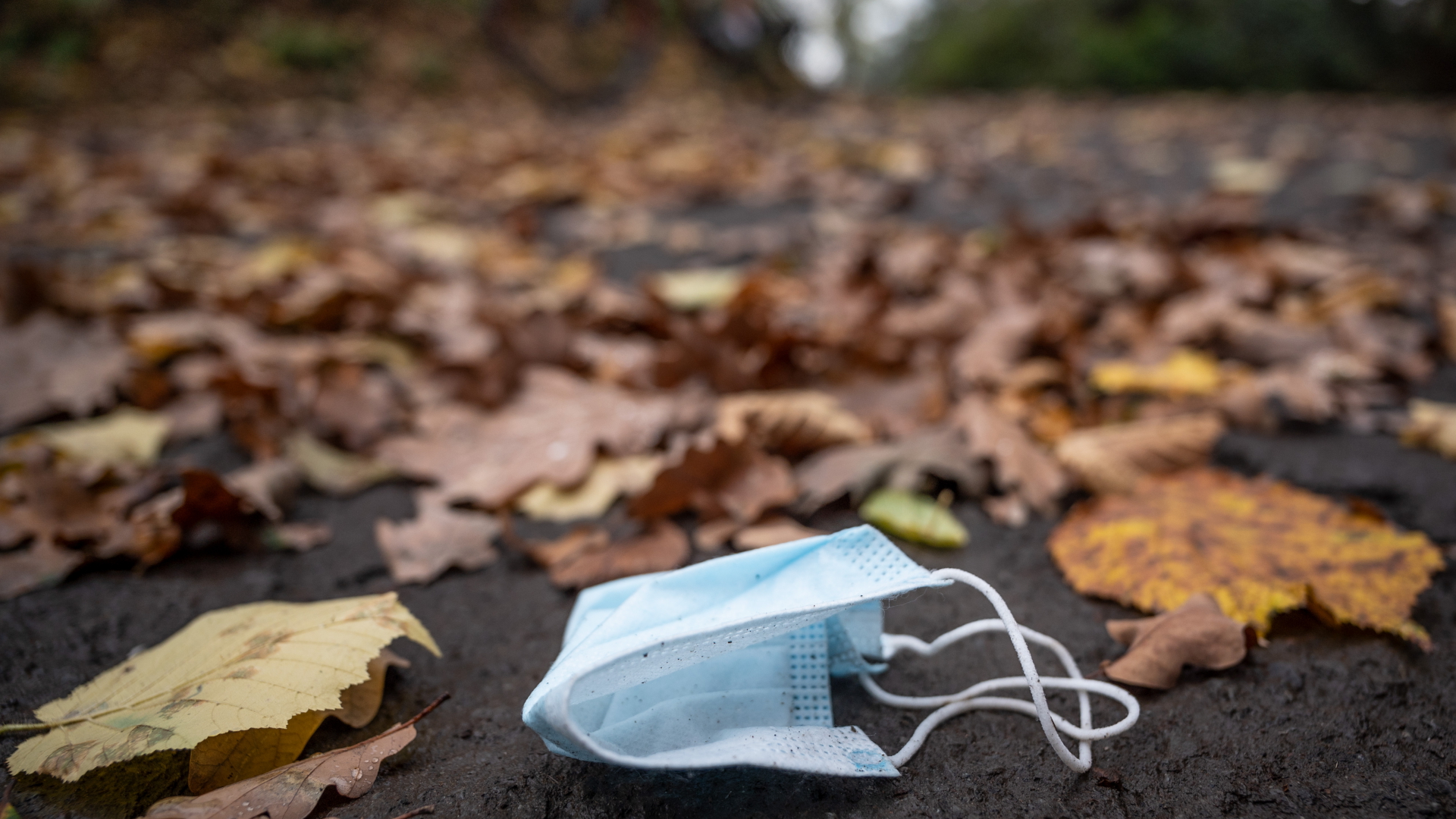 Eine weggeworfene medizinische Maske liegt im Herbstlaub | dpa