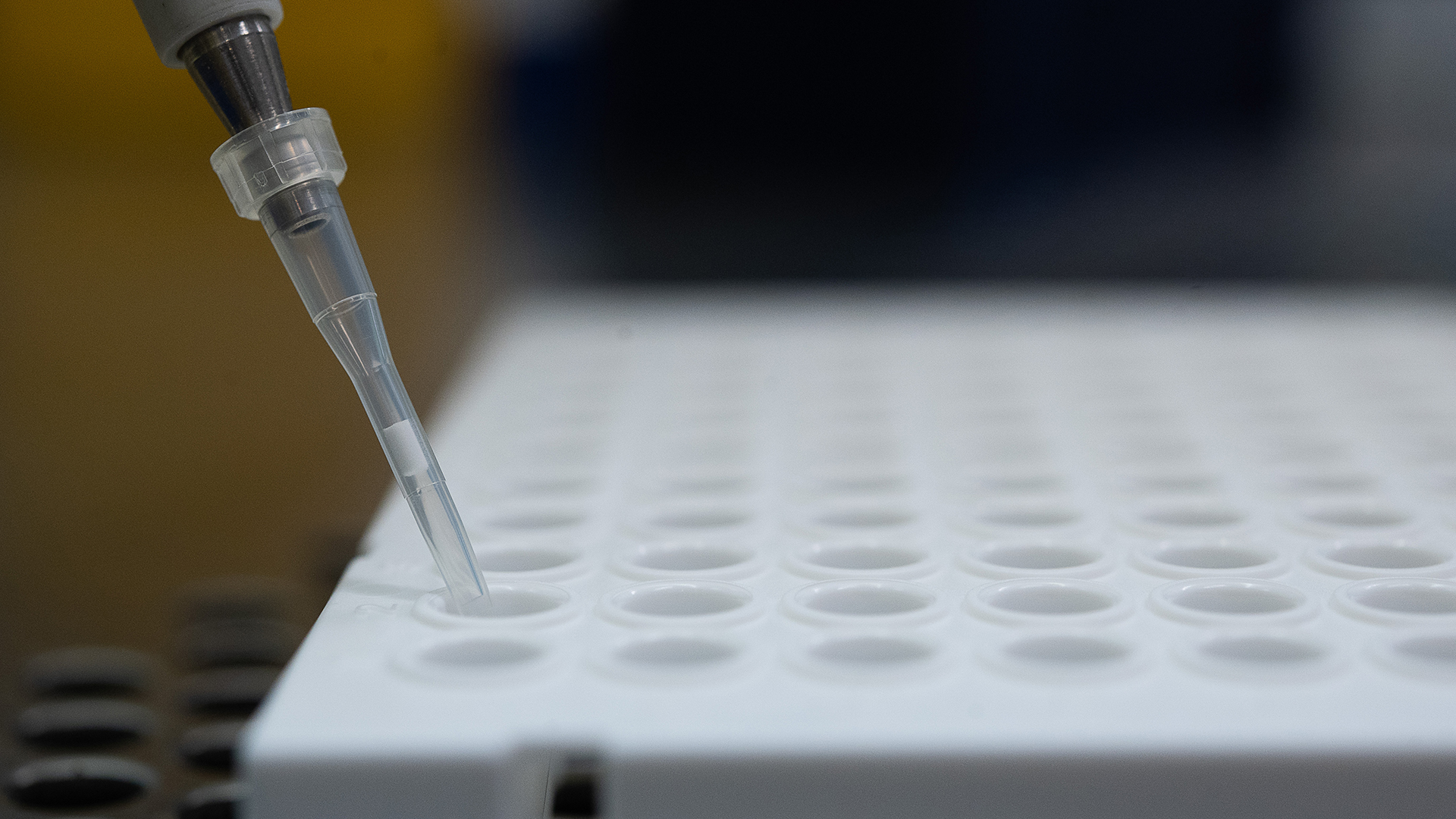 Ein PCR-Test wird für die Analyse auf Mutationen des Coronavirus vorbereitet wird. | dpa