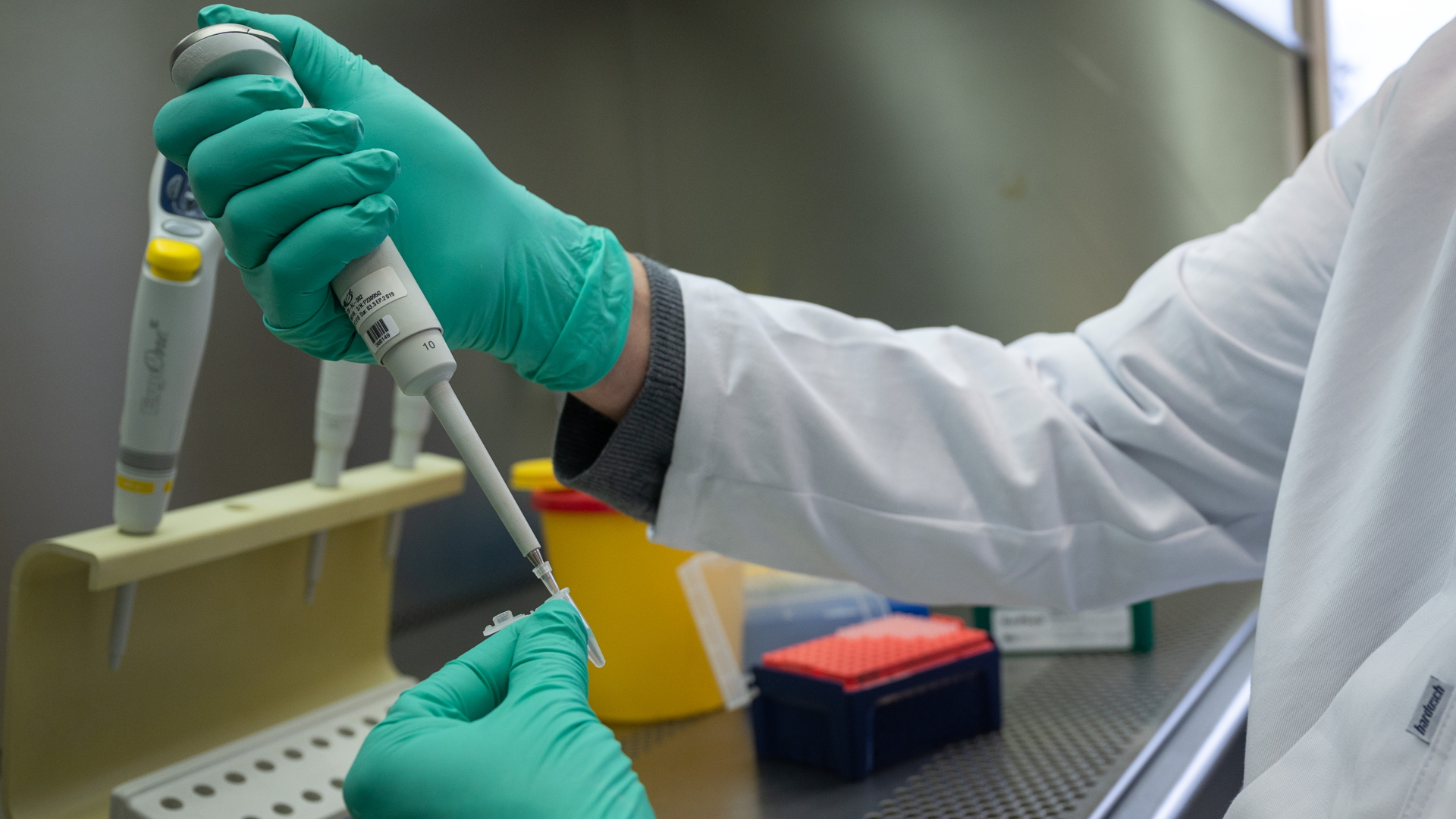 Analyse eines PCR-Tests im Labor | dpa