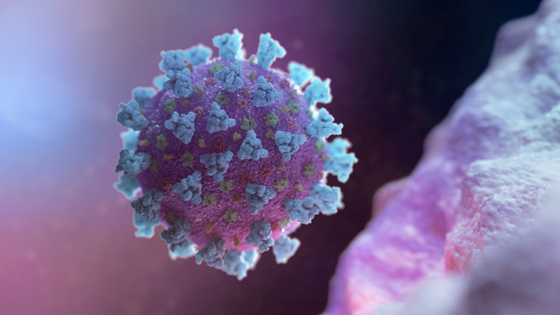 Modell des Coronavirus | via REUTERS