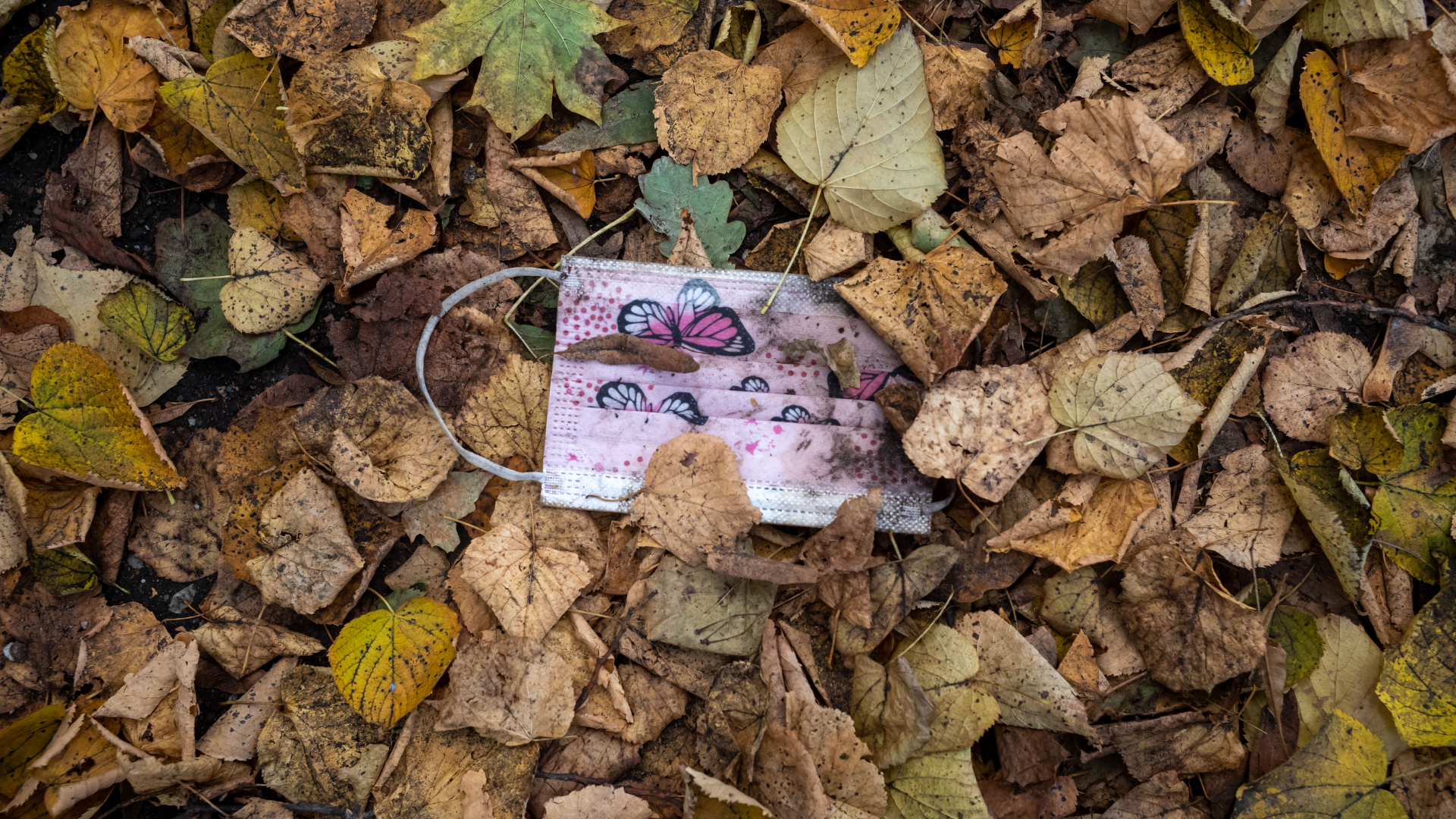 Ein rosafarbener Mund-Nasen-Schutz liegt im Herbstlaub. | dpa