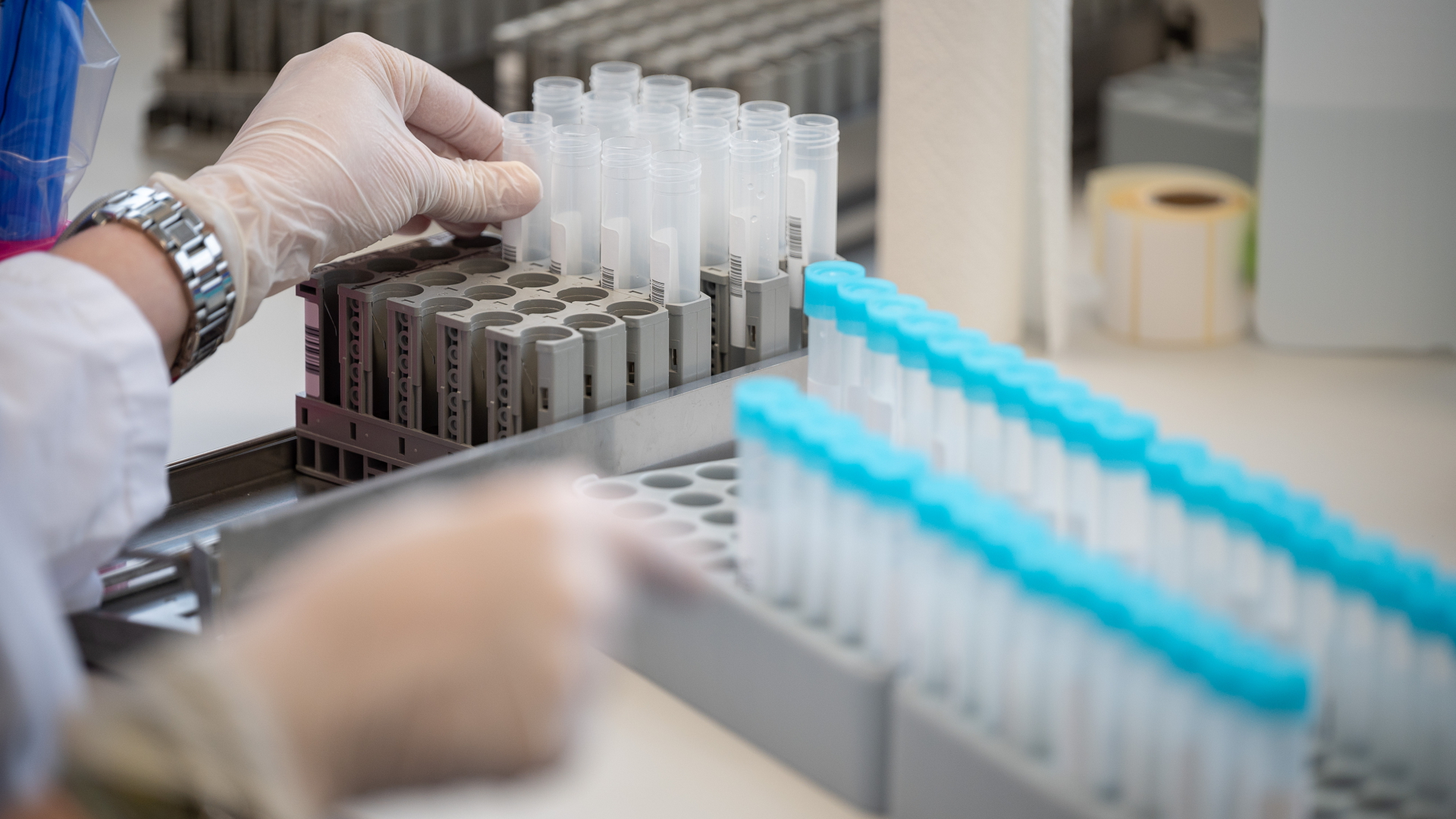 Eine Labormitarbeiterin bereitet im Bioscientia MVZ Labor Mittelhessen Teströhrchen für einen PCR-Test vor.  | dpa