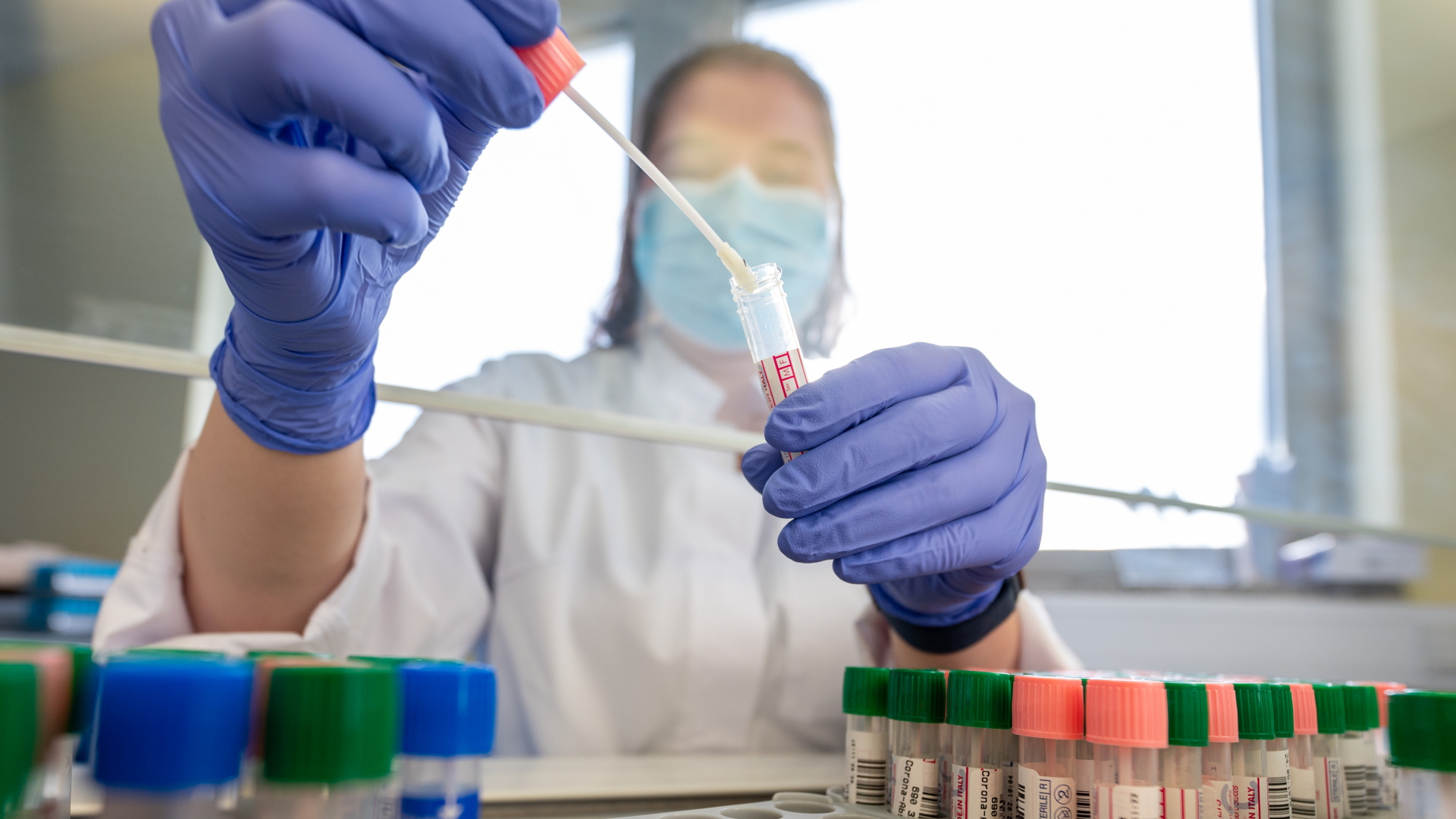 Laura Heidler, Mitarbeiterin, wertet an einer Sterilbank im Medizinischen Labor Ostsachsen eine Kassette mit Corona-Abstrichen zum Virusnachweis unter Verwendung der PCR-Methode aus. | dpa