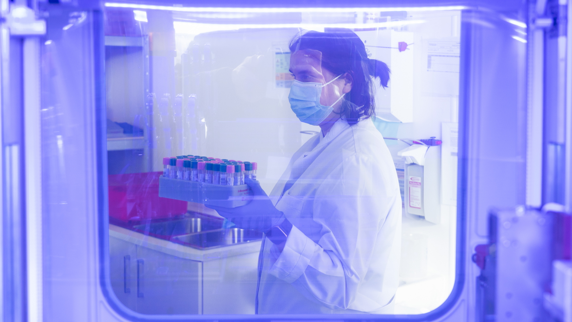 Eine Mitarbeiterin in einem medizinischen Labor hält eine Kassette mit Corona-Abstrichen zum Virusnachweis unter Verwendung der PCR-Methode. | dpa