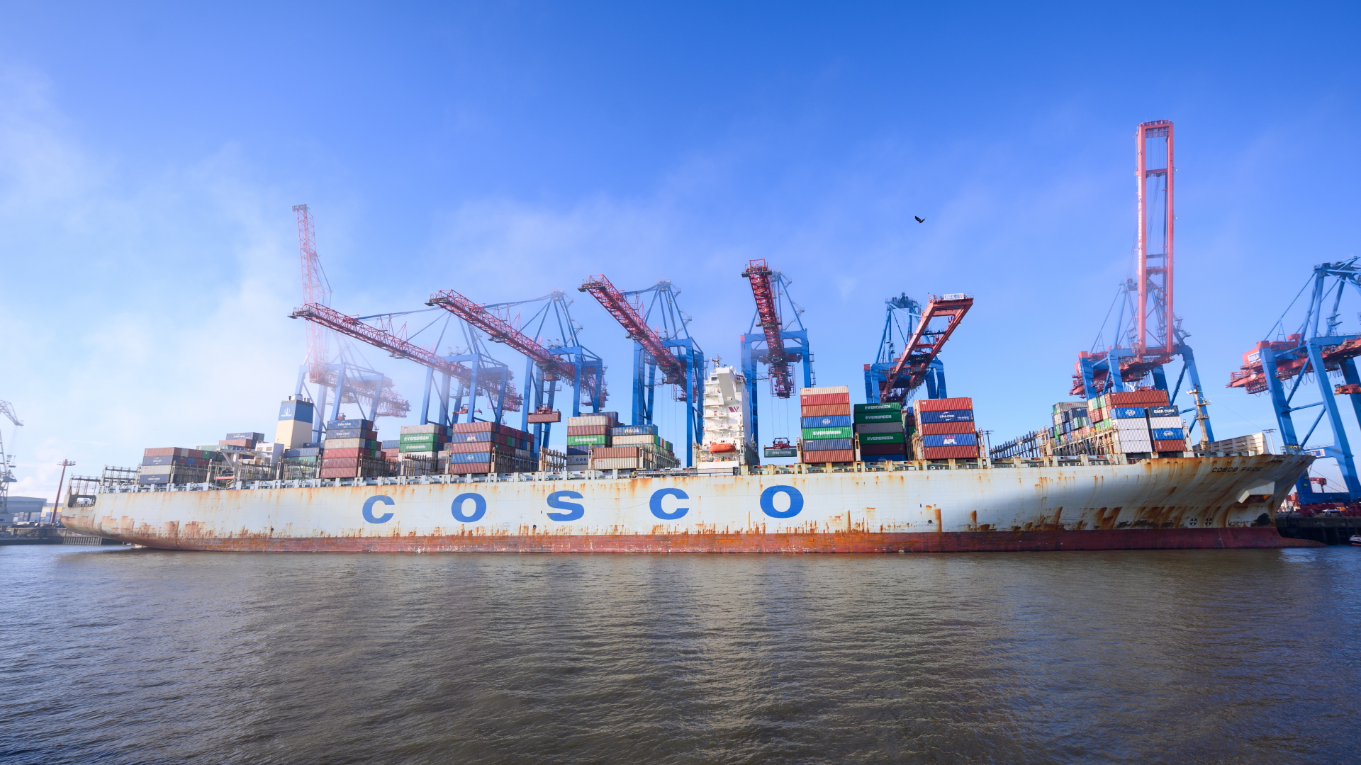 Das Containerschiff "Cosco Pride" der Reederei Cosco Shipping liegt am Containerterminal Tollerort. | dpa