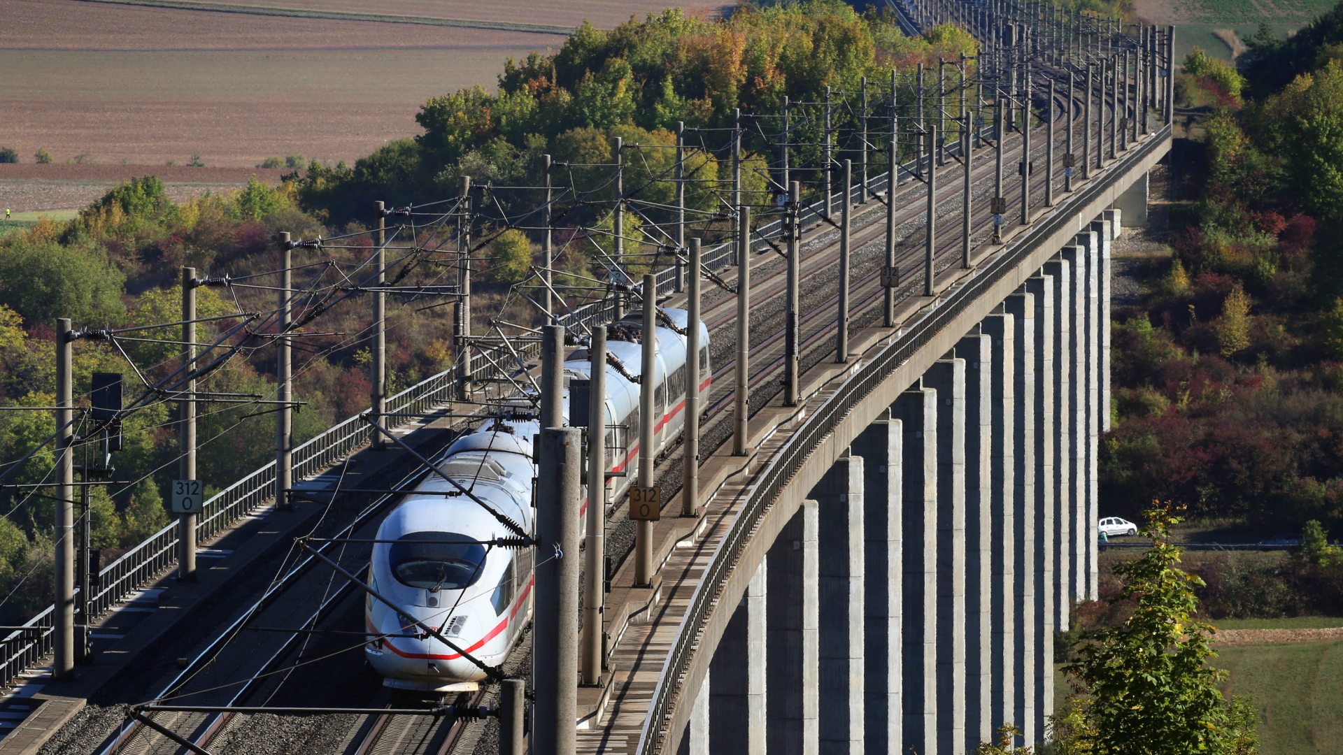 Eine Bahn fährt über eine Hochbrücke | Bildquelle: dpa
