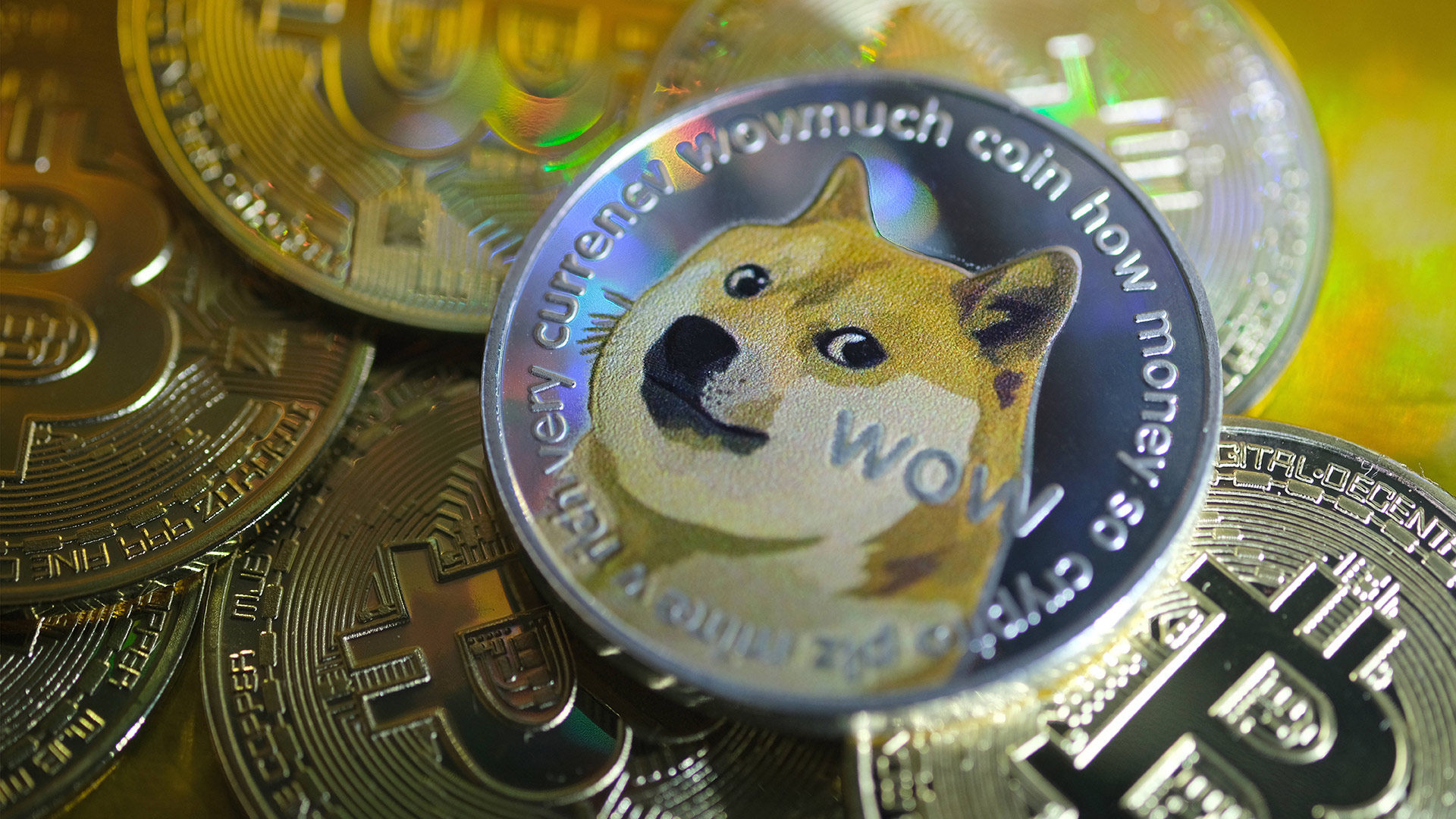 Dogecoin-Prognose 2021 – so könnte sich die Bitcoin-Alternative entwickeln