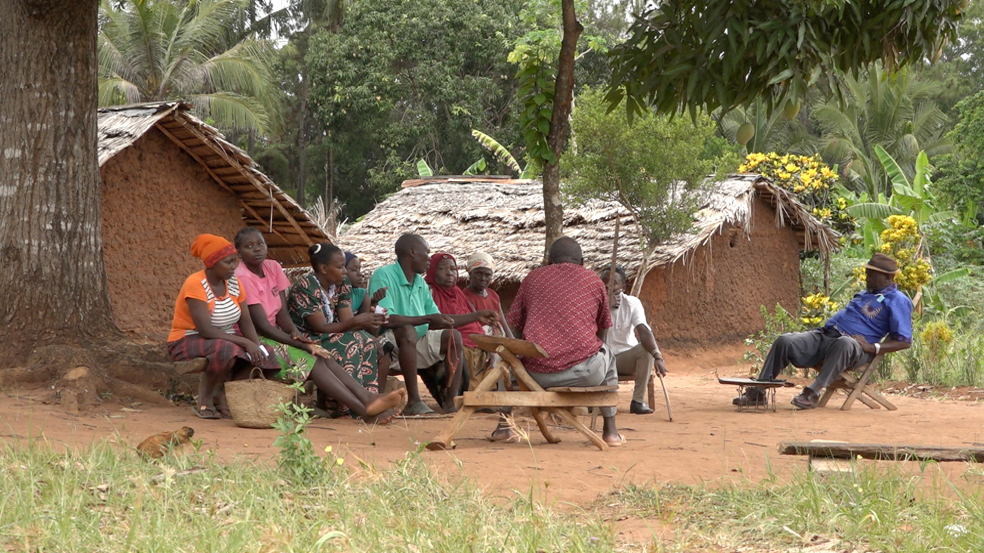 Dorfbewohner sitzen unter einem Baum in einem Dorf in Kenia. | TV-Studio Nairobi