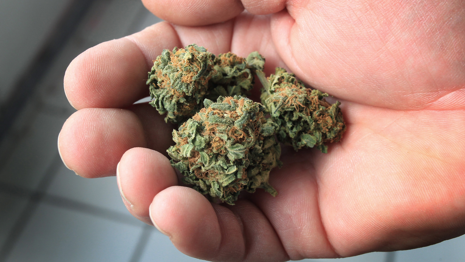 Cannabis in der Hand einer Person.