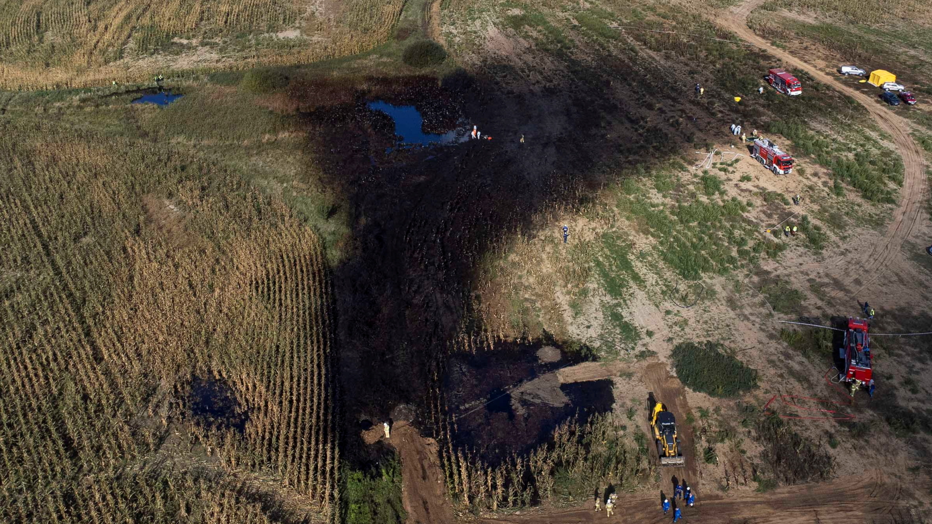 Luftaufnahme des Feldes oberhalb der leckgeschlagenen Druschba-Pipeline in Polen | REUTERS