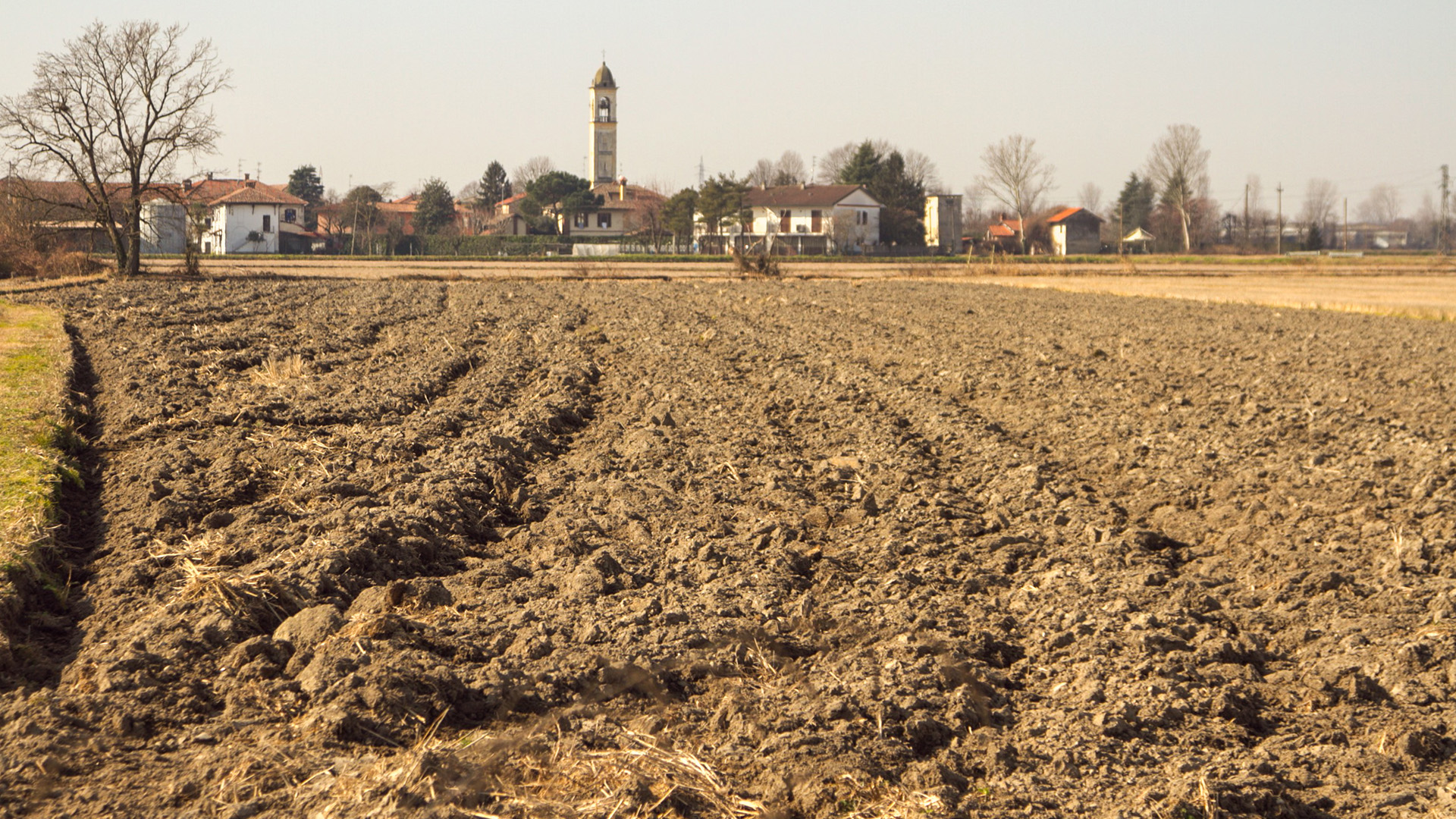 Ein Blick auf ein trockenes Getreidefeld. | picture alliance / AA