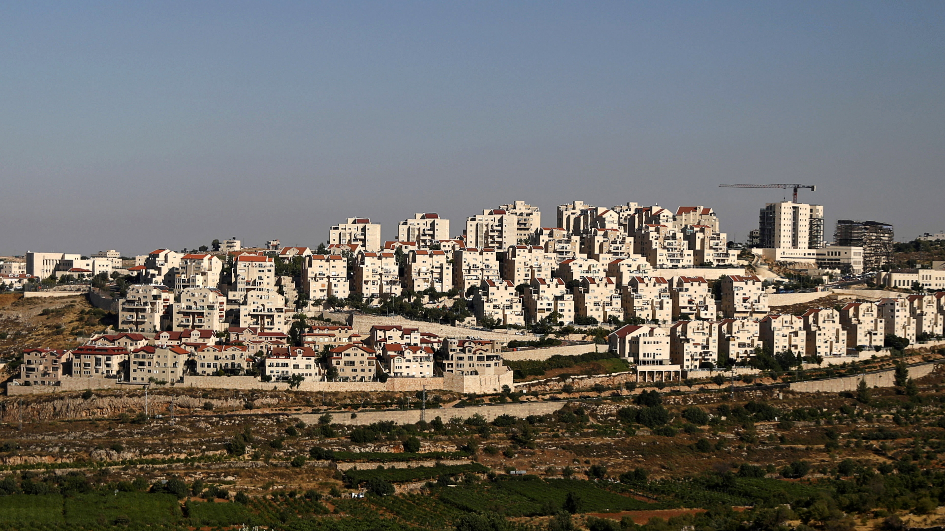Die israelische Siedlung Efrat im Westjordanland | REUTERS