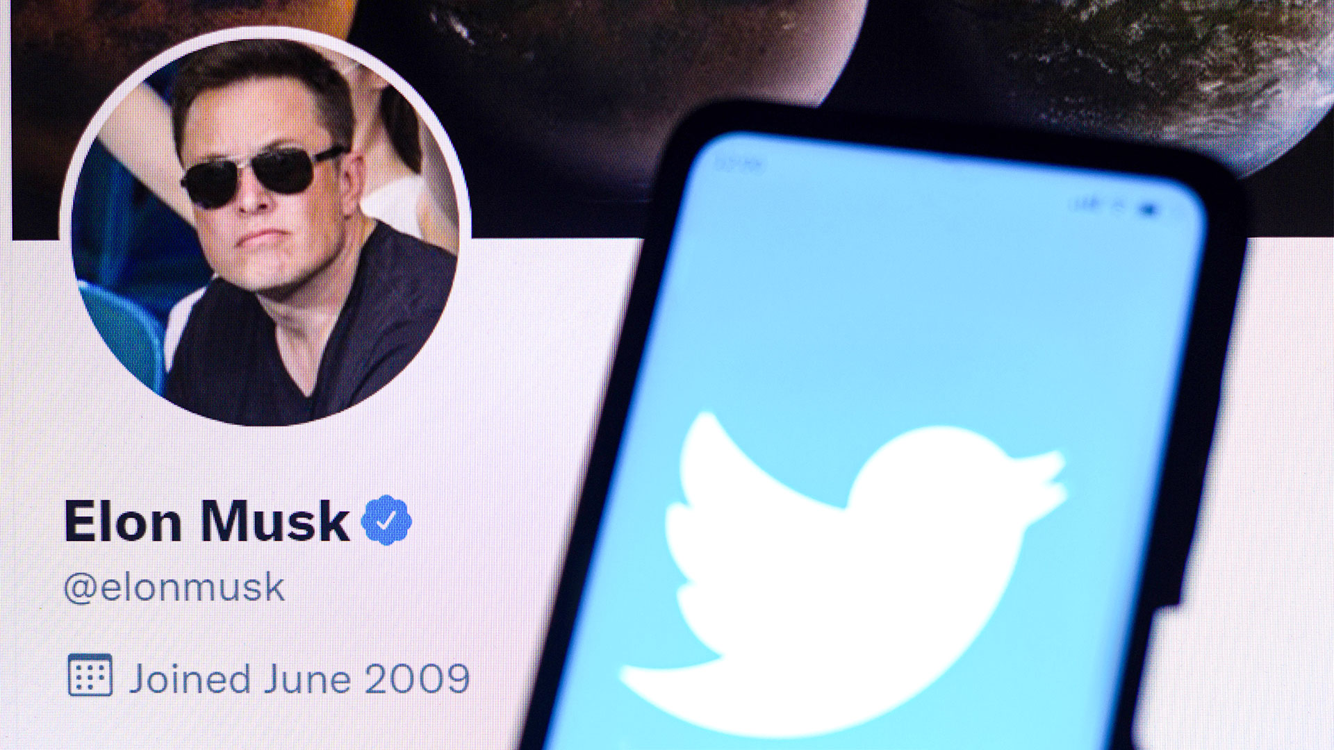 Das Twitter-Logo ist auf einem Smartphone zusammen mit dem offiziellen Twitter-Profil von Elon Musk zu sehen.